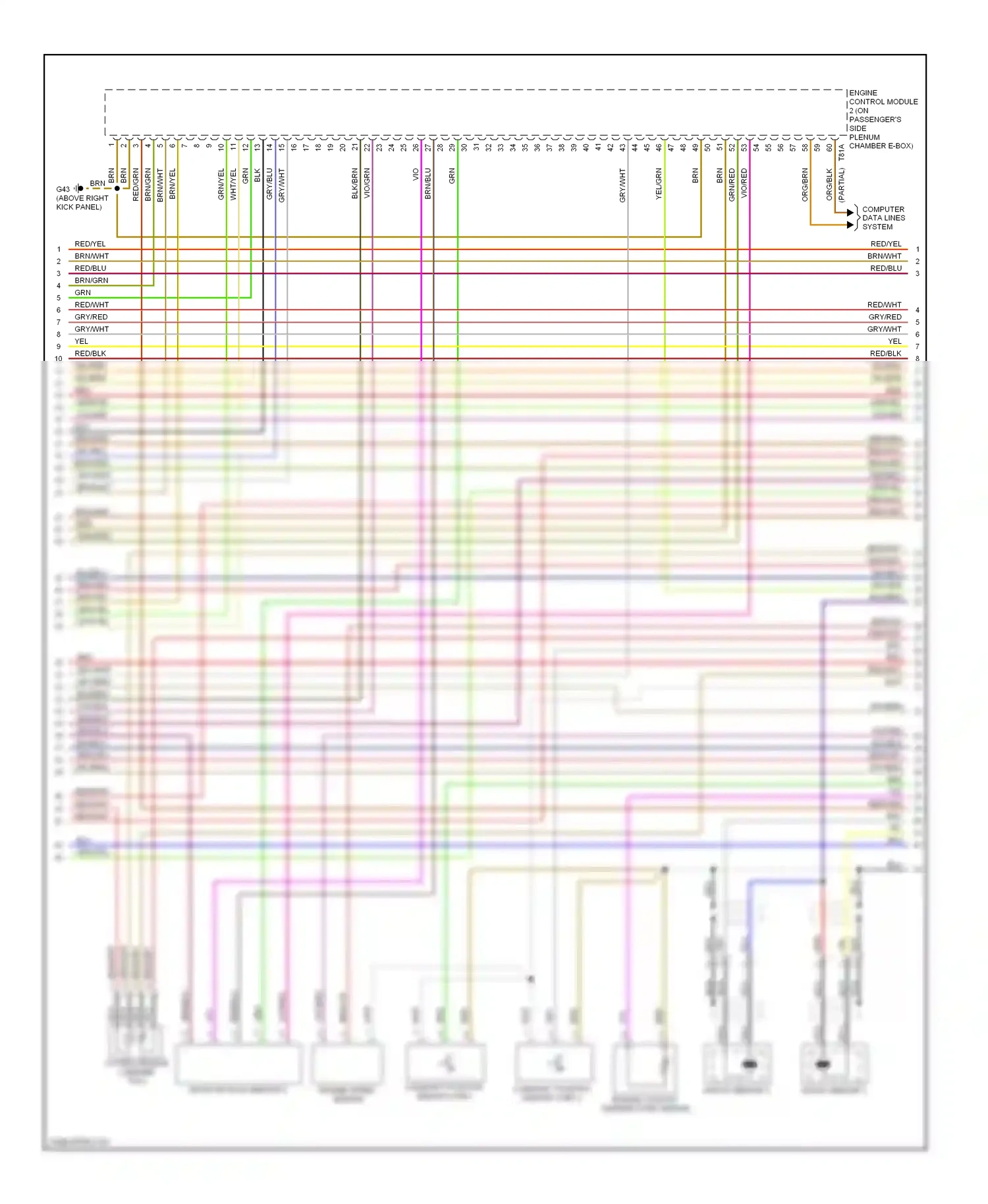 Audi A8 D3 facelift (2005-2007) brn/yel wiring diagram  (10 of 26)