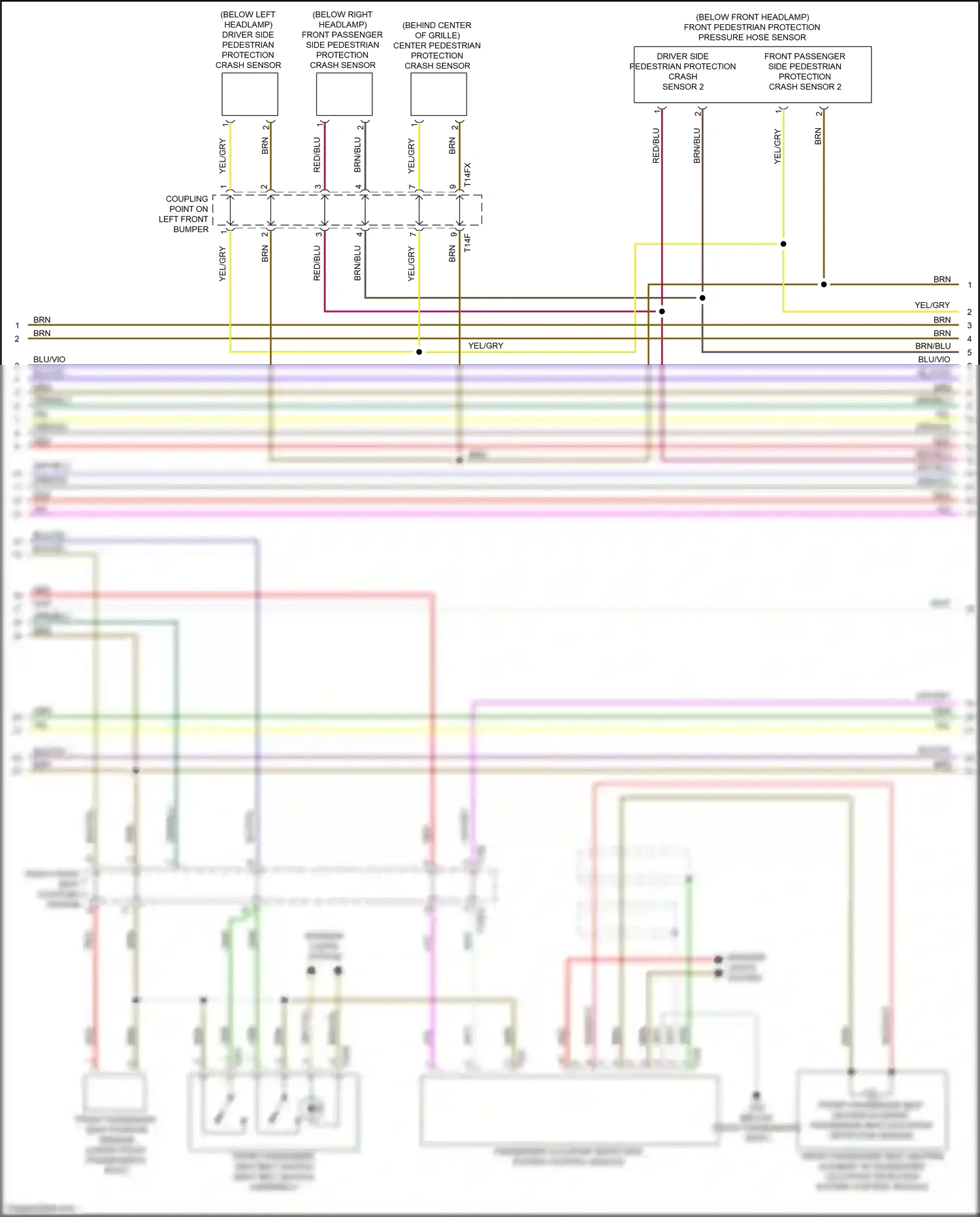 Wiring diagram brn/blu for Audi A8 D5 (2017-2022) (17 of 65)