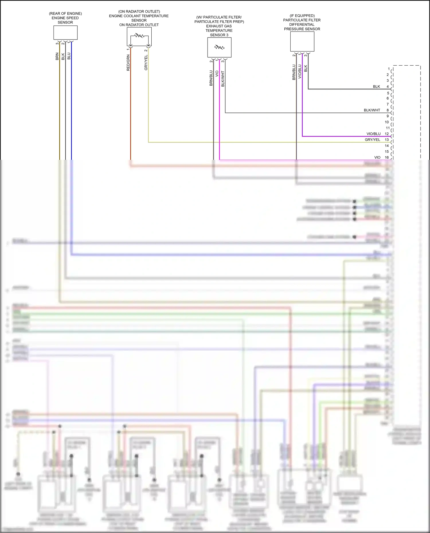 Wiring diagram brn/wht for Audi A8 D5 (2017-2022) (43 of 46)