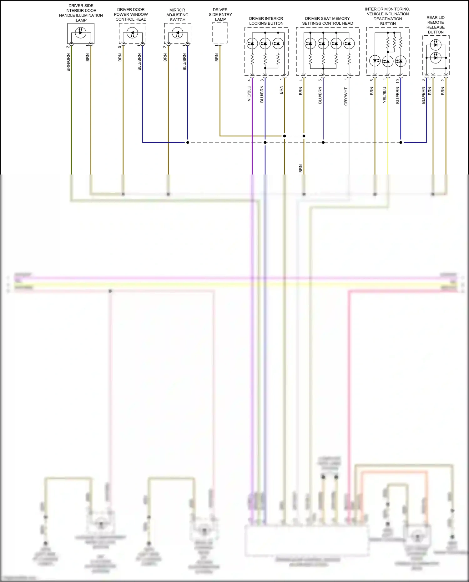 Wiring diagram vio/wht for Audi RS5 F5 (2017-2019) (37 of 57)