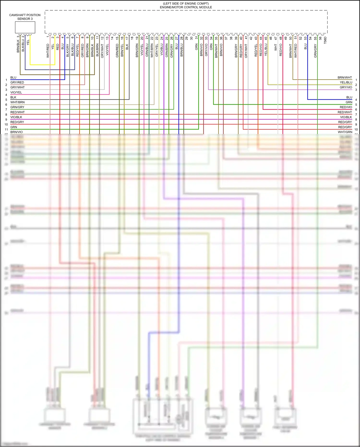Wiring diagram wht/brn for Audi RS5 F5 (2017-2019) (10 of 10)