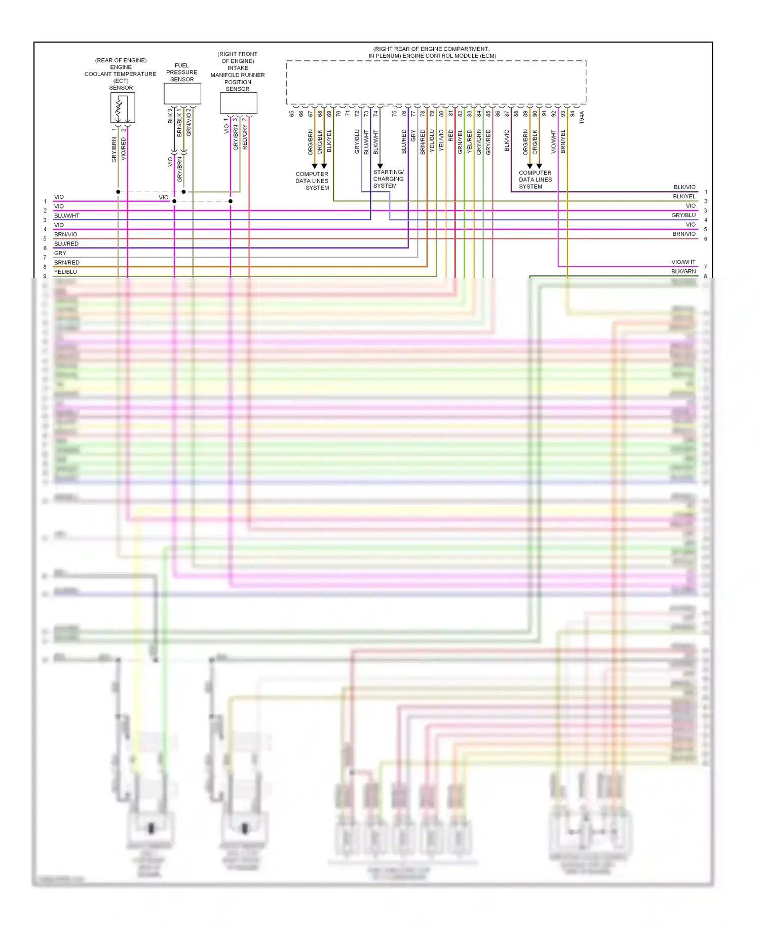 Wiring diagram blu/brn for Audi S6 C6 facelift (2008-2011) (8 of 17)