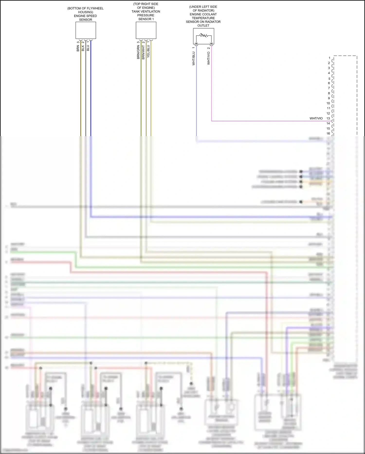 Audi S6 C8 (2019-2024) yel/blu wiring diagram  (16 of 19)