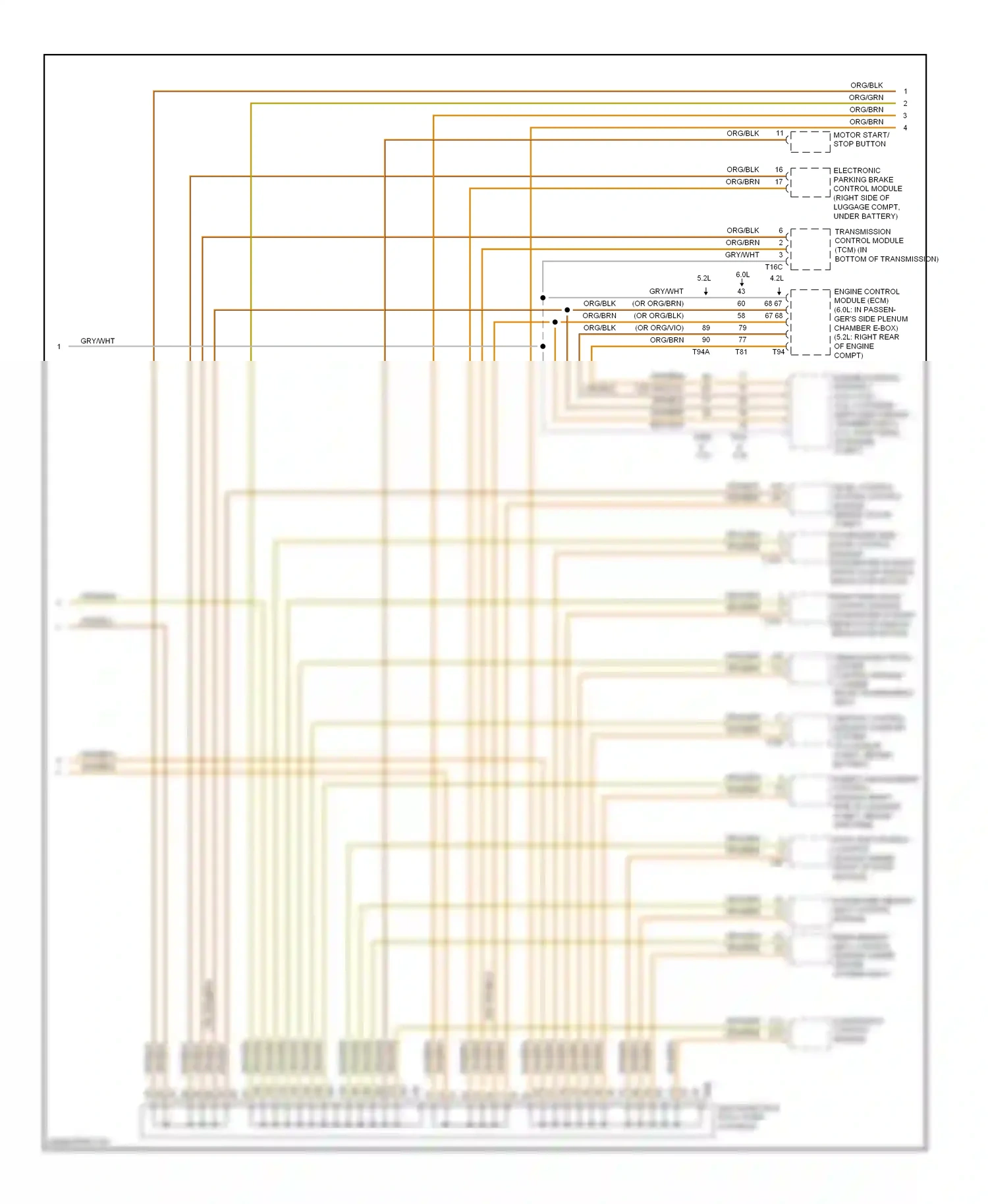 Audi S8 D3 facelift (2007-2011) climatronic control module wiring diagram  (3 of 8)