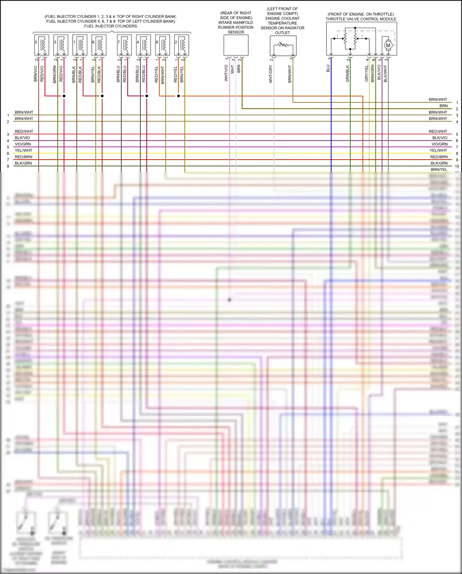 Wiring diagram vio/blk for Audi S8 D4 facelift (2013-2018) (22 of 23)