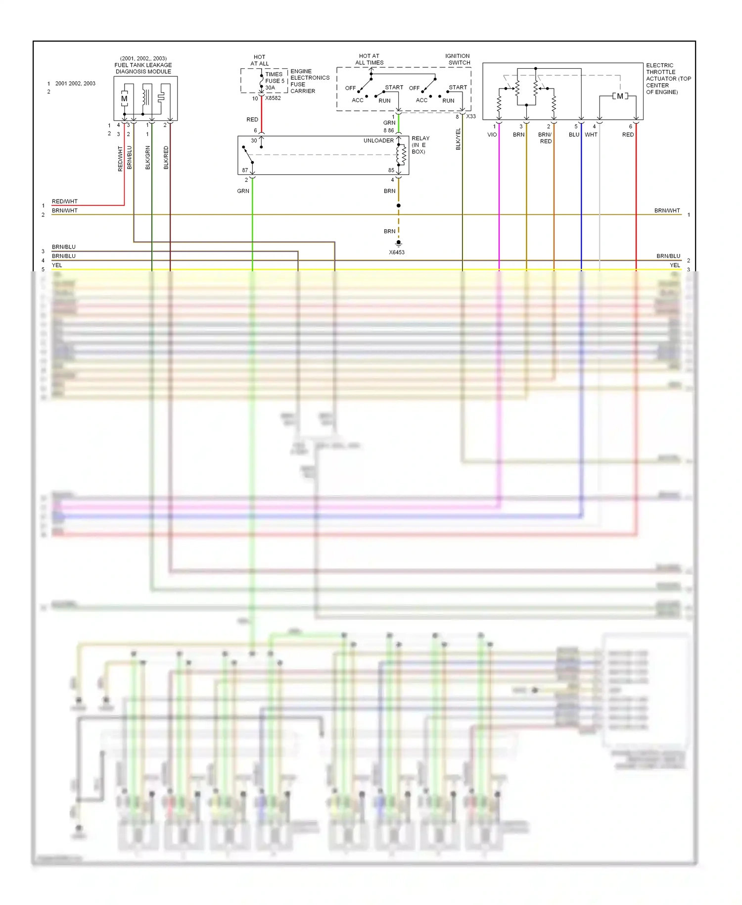 Wiring diagram yel for BMW 5 series E39 facelift (2000-2004) (68 of 69)