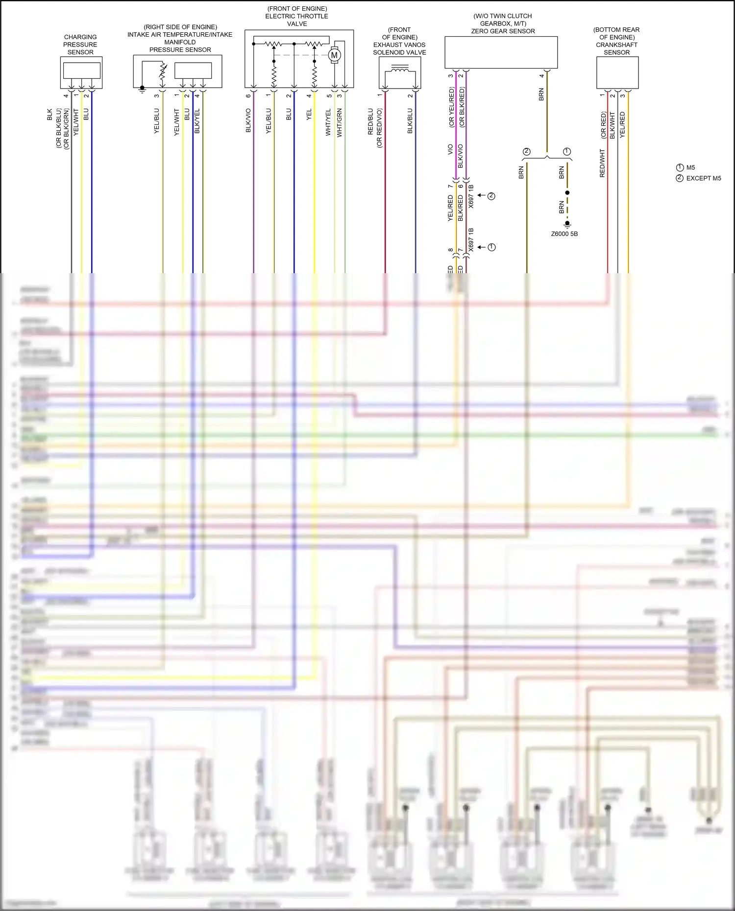 Wiring diagram zero gear sensor for BMW 5 series F10/F11 facelift (2013-2017) (3 of 3)