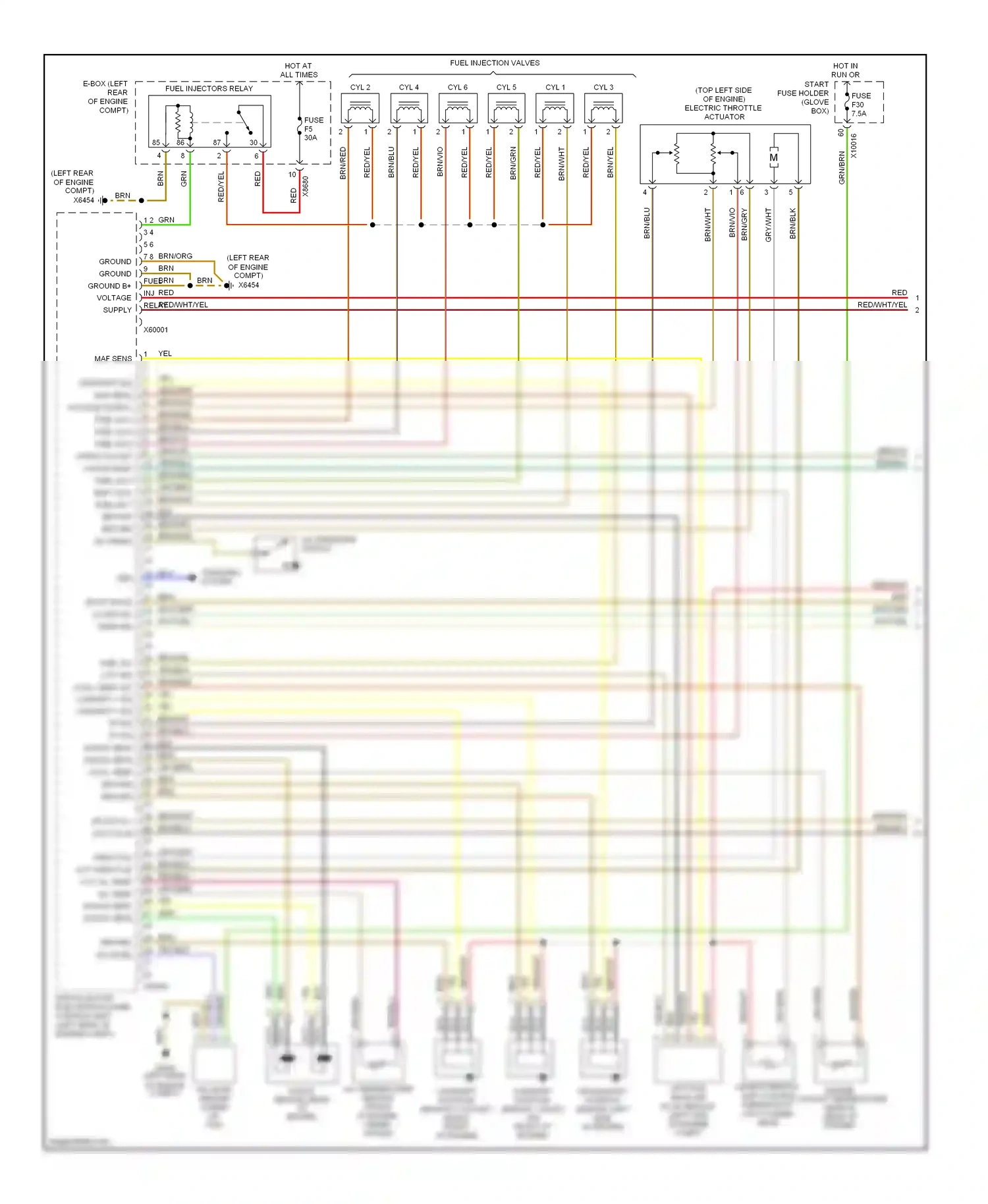 Wiring diagram yel/blu for BMW M3 E46 (1999-2006) (7 of 7)