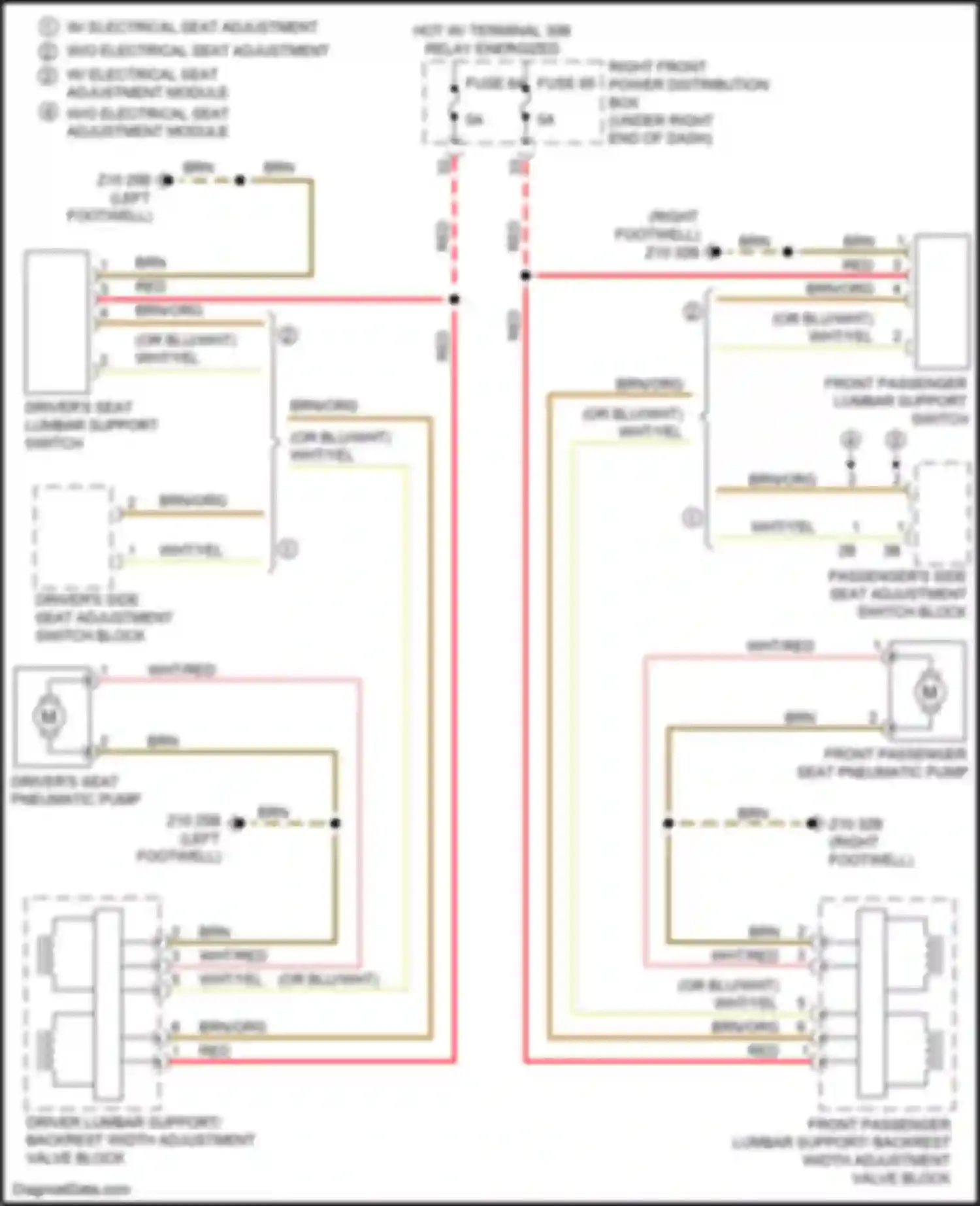M4 BMW G82 (2020-2024): Lumbar circuit, w/ backrest