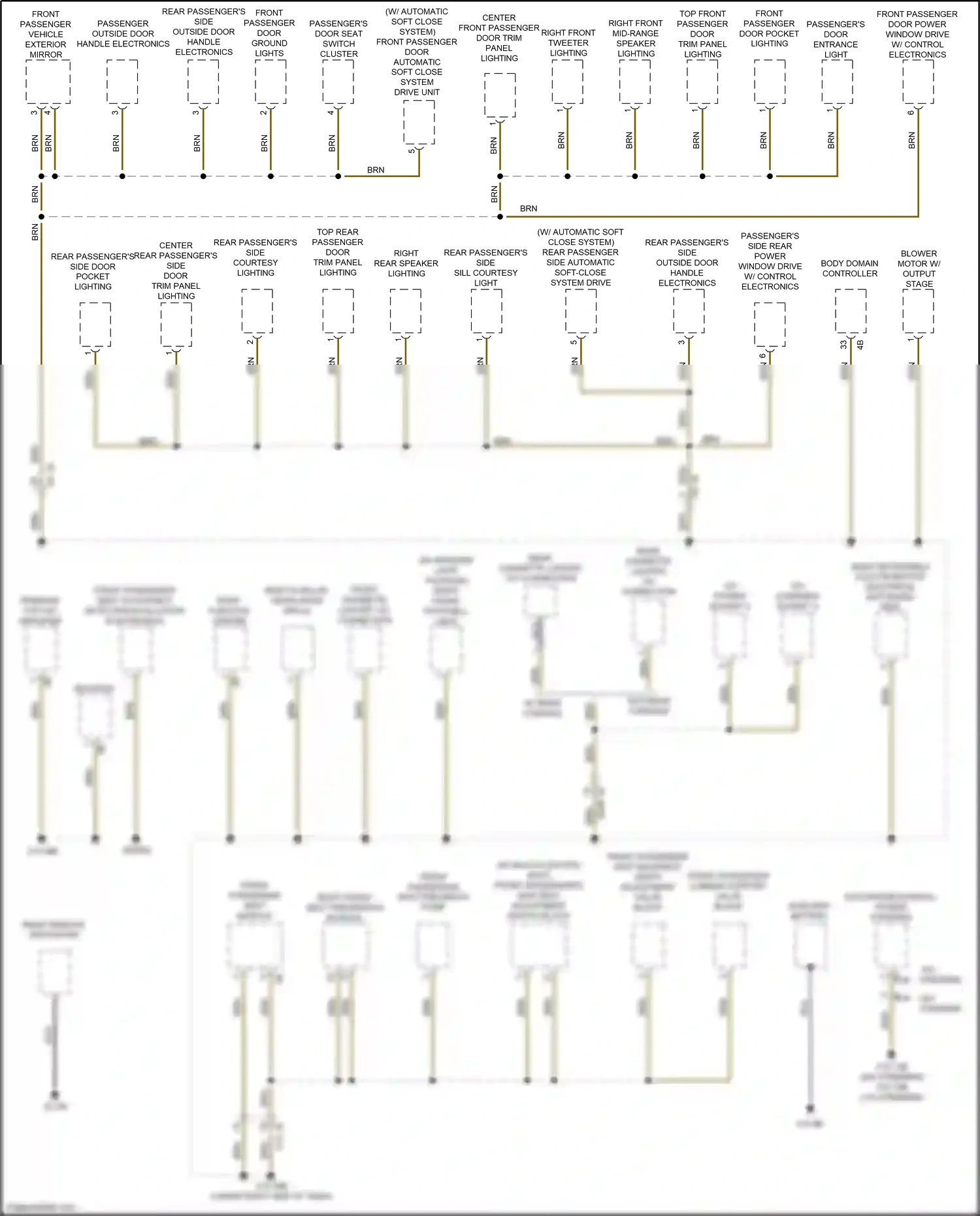 Wiring diagram body domain controller for BMW M5 F90 facelift (2020-2024) (23 of 52)
