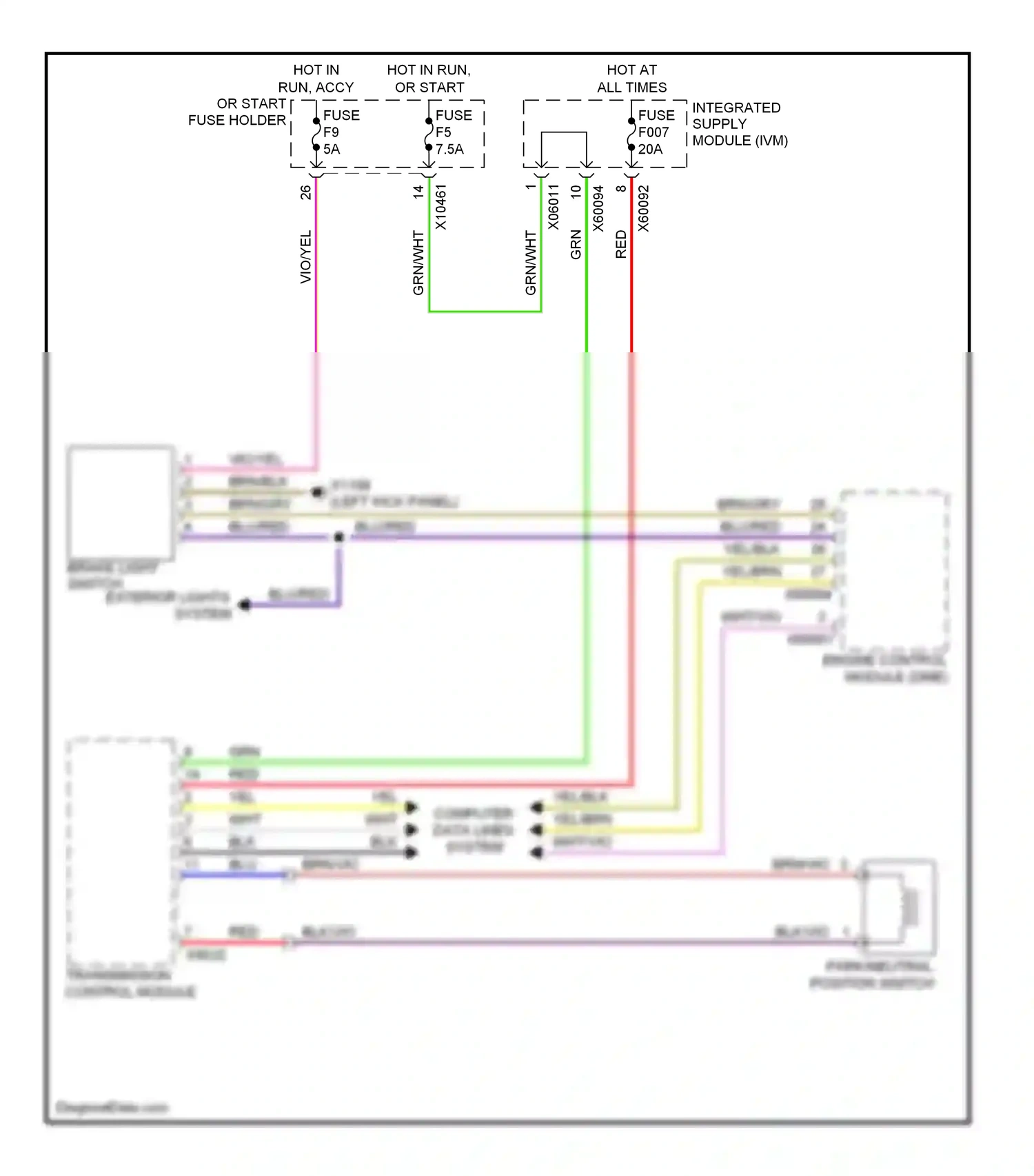 Wiring diagram yel/blk for BMW X5 E53 facelift (2003-2007) (54 of 64)