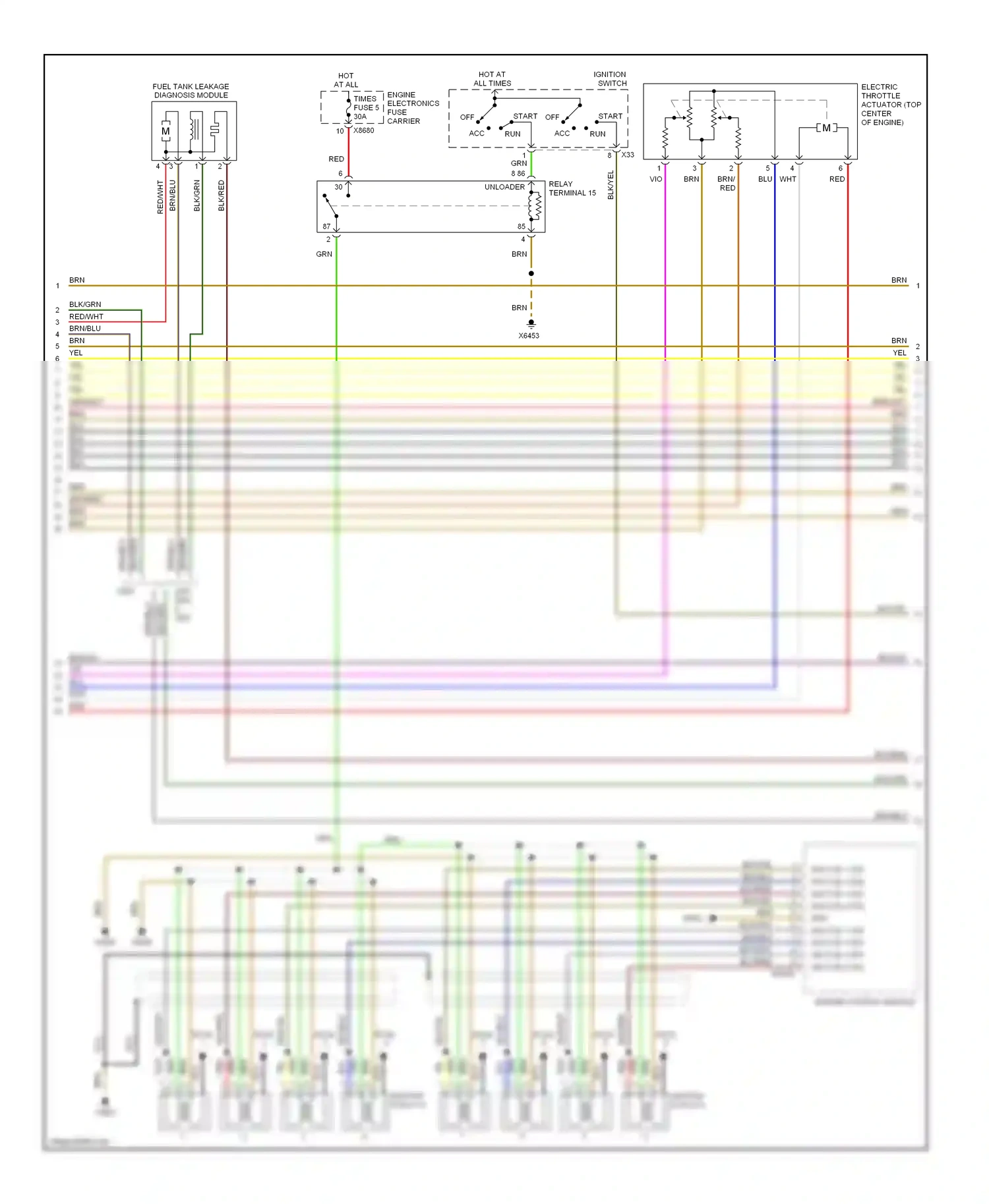 BMW X5 E53 (1999-2003) plug wiring diagram  (1 of 1)