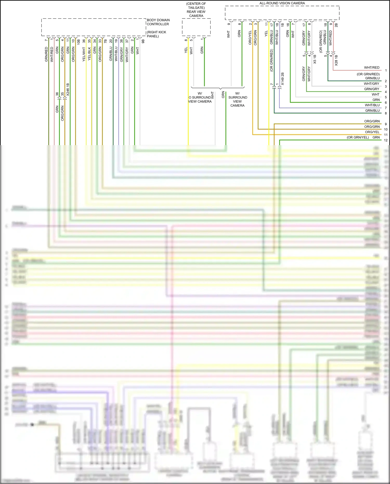 Wiring diagram body domain controller for BMW X5 G05 (2018-2023) (7 of 42)