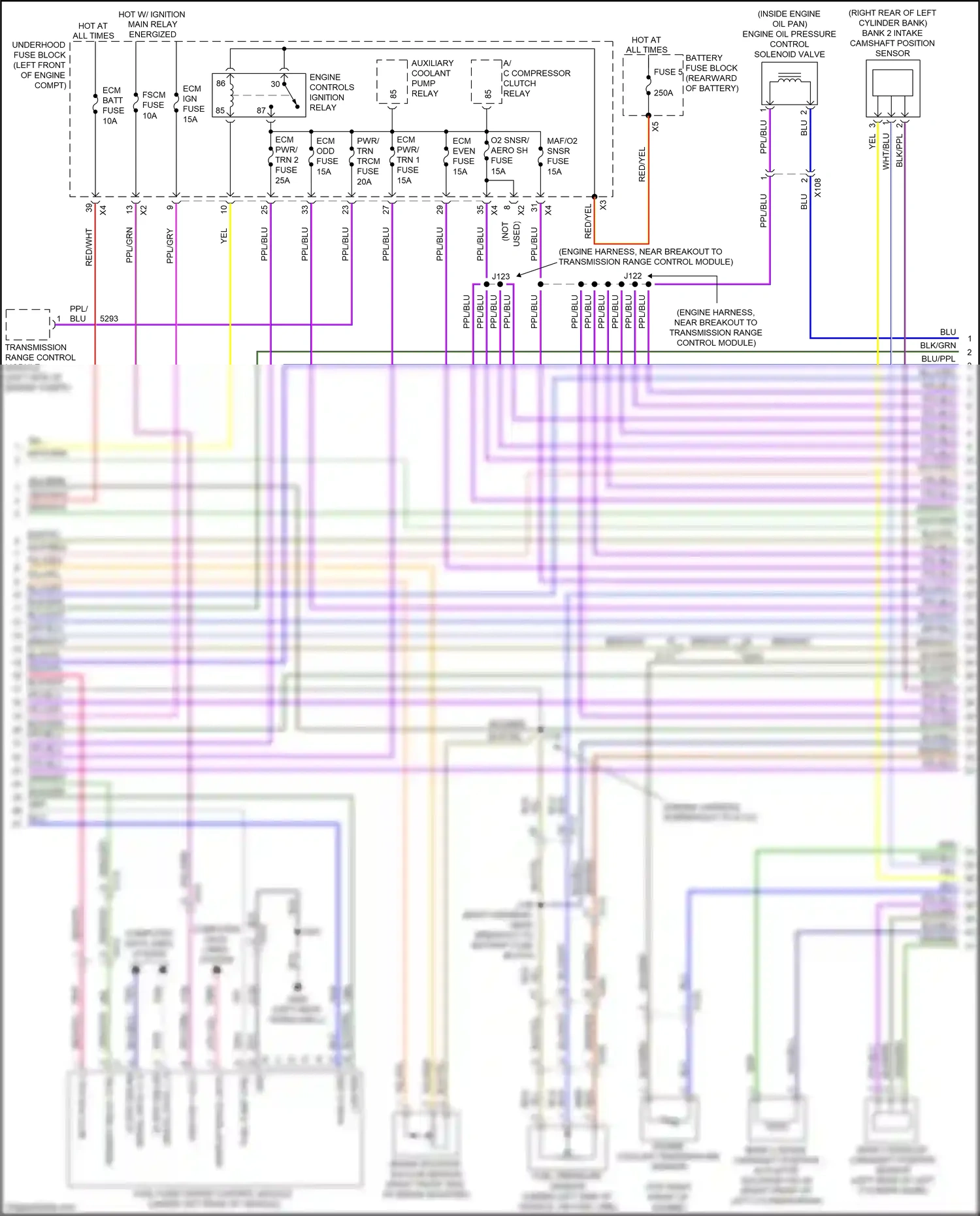 Cadillac XT5 I (2016-2019) transmission range control module wiring diagram  (5 of 5)
