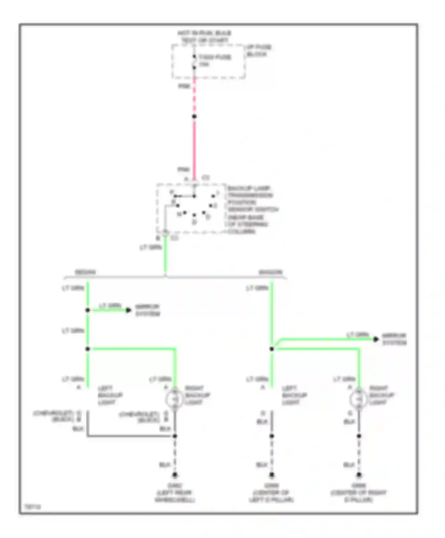 Wiring diagram right backup light for Chevrolet Caprice Impala SS  (1995-1996) (2 of 2)