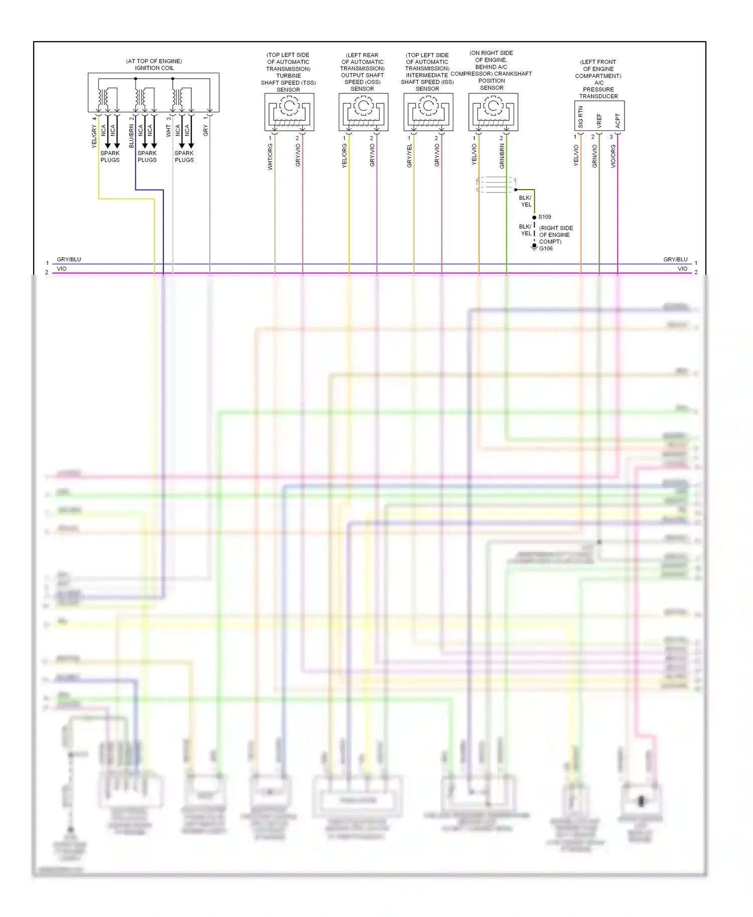 Wiring diagram brn/yel for Ford Explorer IV (2005-2010) (7 of 21)