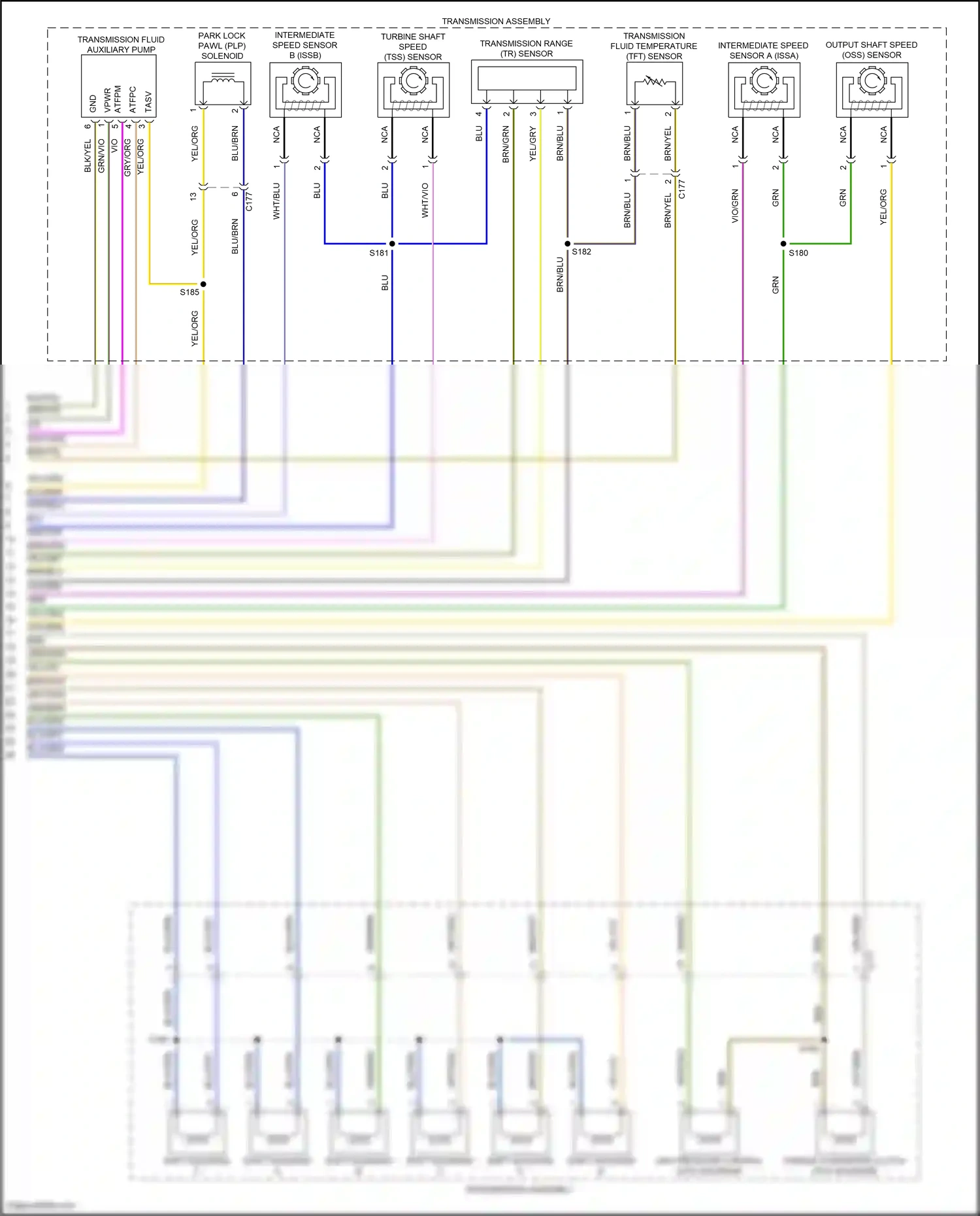 Wiring diagram brn/wht for Ford Explorer VI (2019-2024) (43 of 85)