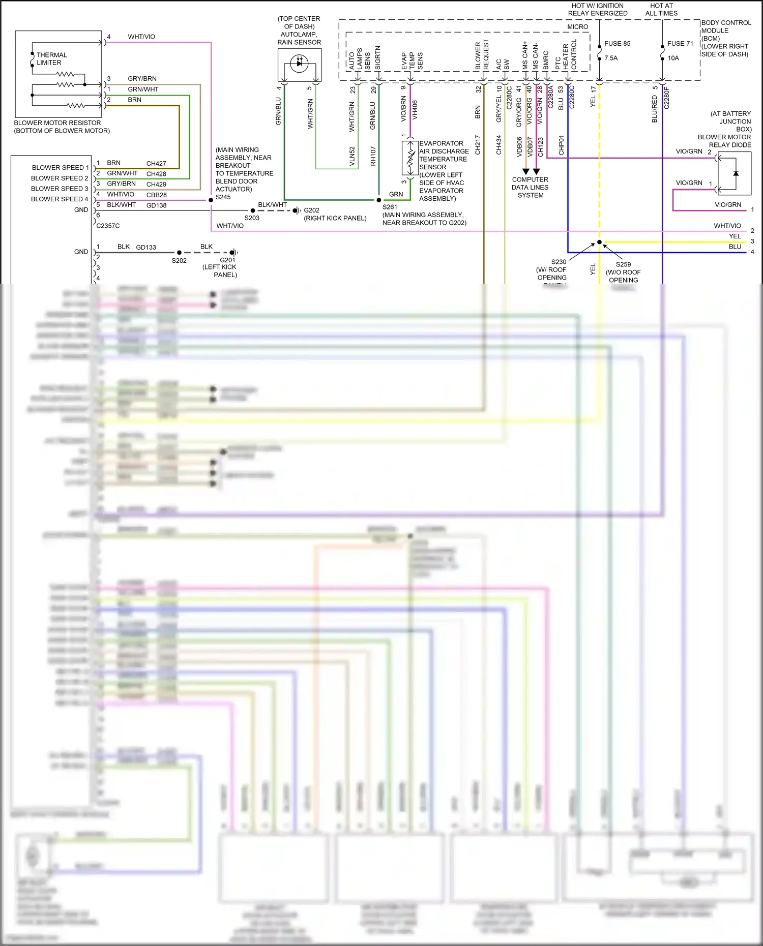 Ford Focus ST III facelift (2015-2018) computer data lines system wiring diagram  (117 of 197)