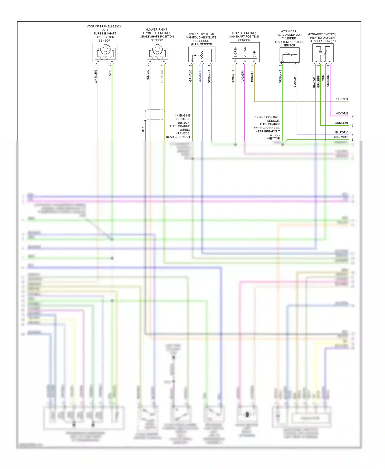 Wiring diagram brn/yel for Ford Focus II facelift (2007-2011) (10 of 28)