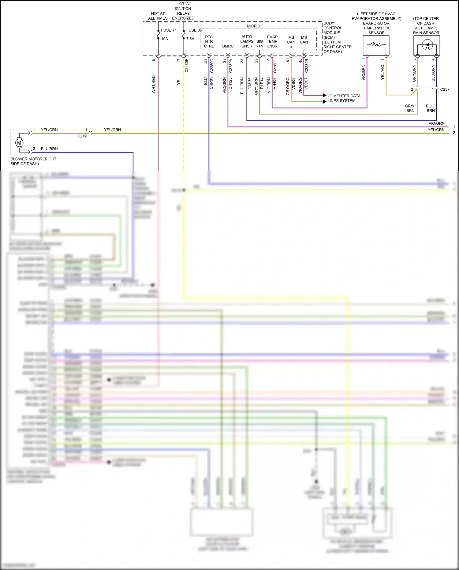 Ford Kuga II (2012-2016) body control module (bcm) wiring diagram  (25 of 53)