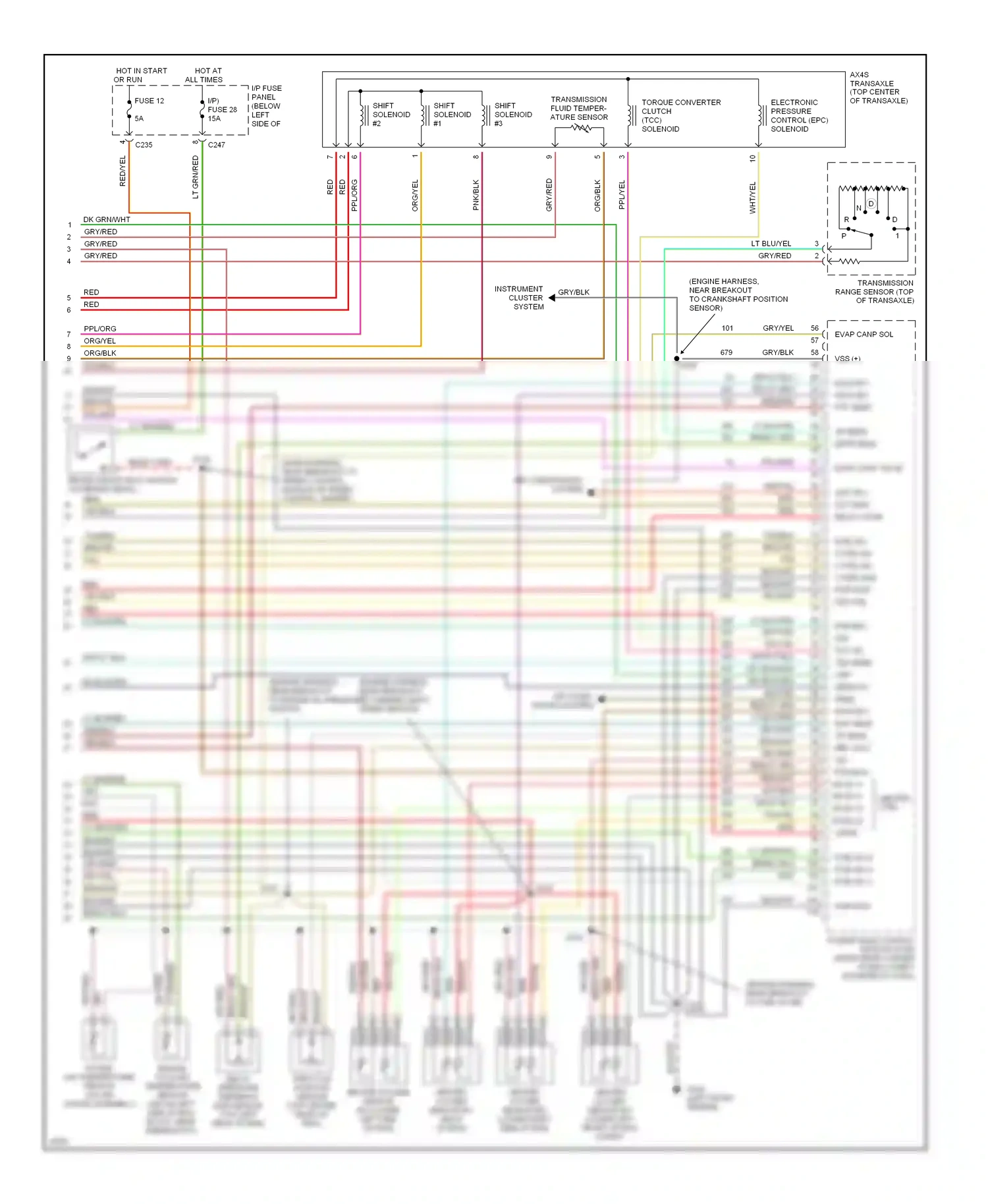 Wiring diagram brn/lt blu for Ford Taurus III (1995-1999) (4 of 11)