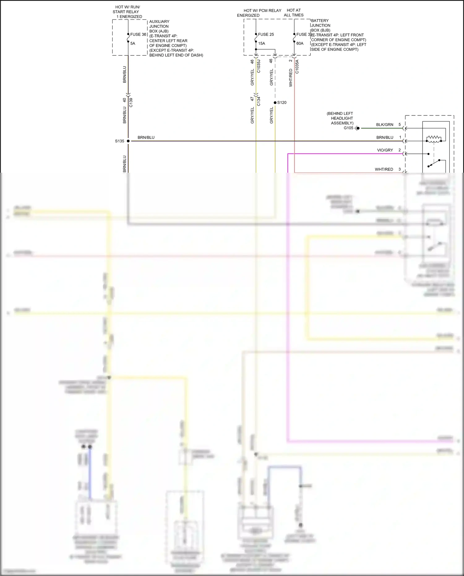 Wiring diagram brn/blu for Ford Transit T8 (2023-2024) (13 of 62)