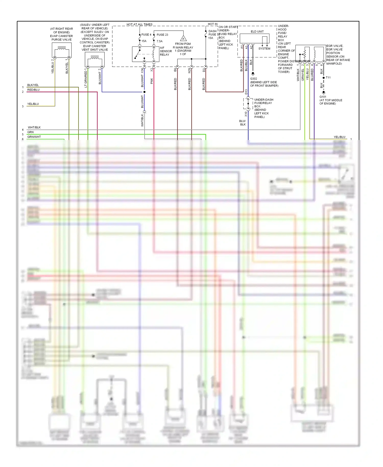 Wiring diagram eld unit for Honda Accord VII facelift (2005-2008) (8 of 11)