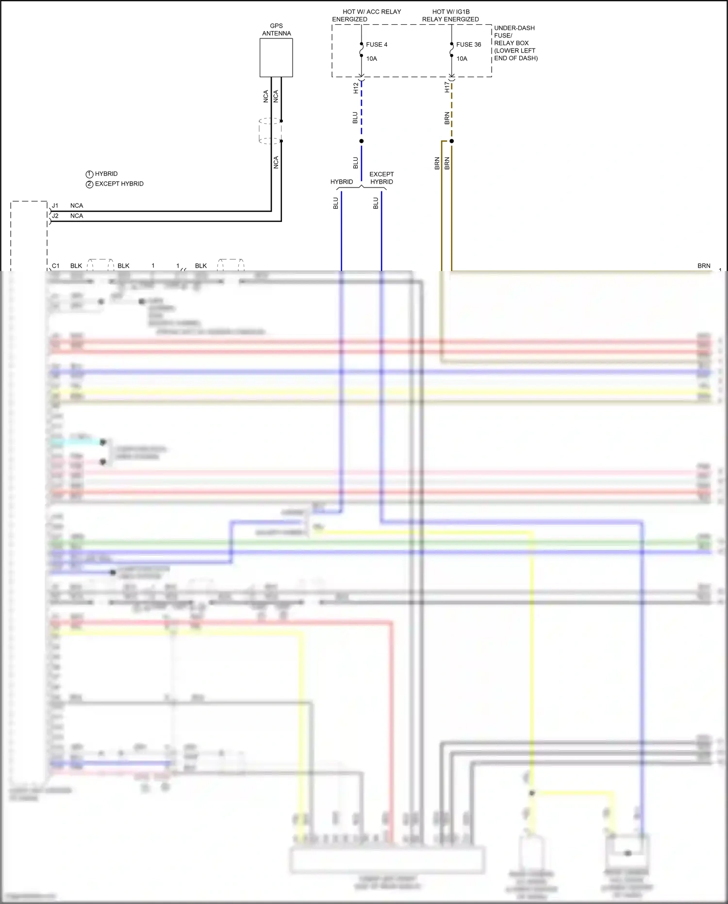 Wiring diagram computer data lines system for Honda Accord X facelift (2020-2023) (49 of 129)