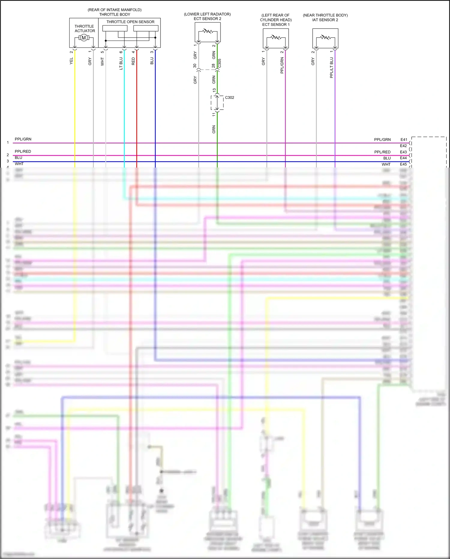 Wiring diagram ppl/tan for Honda Accord X (2017-2020) (6 of 11)