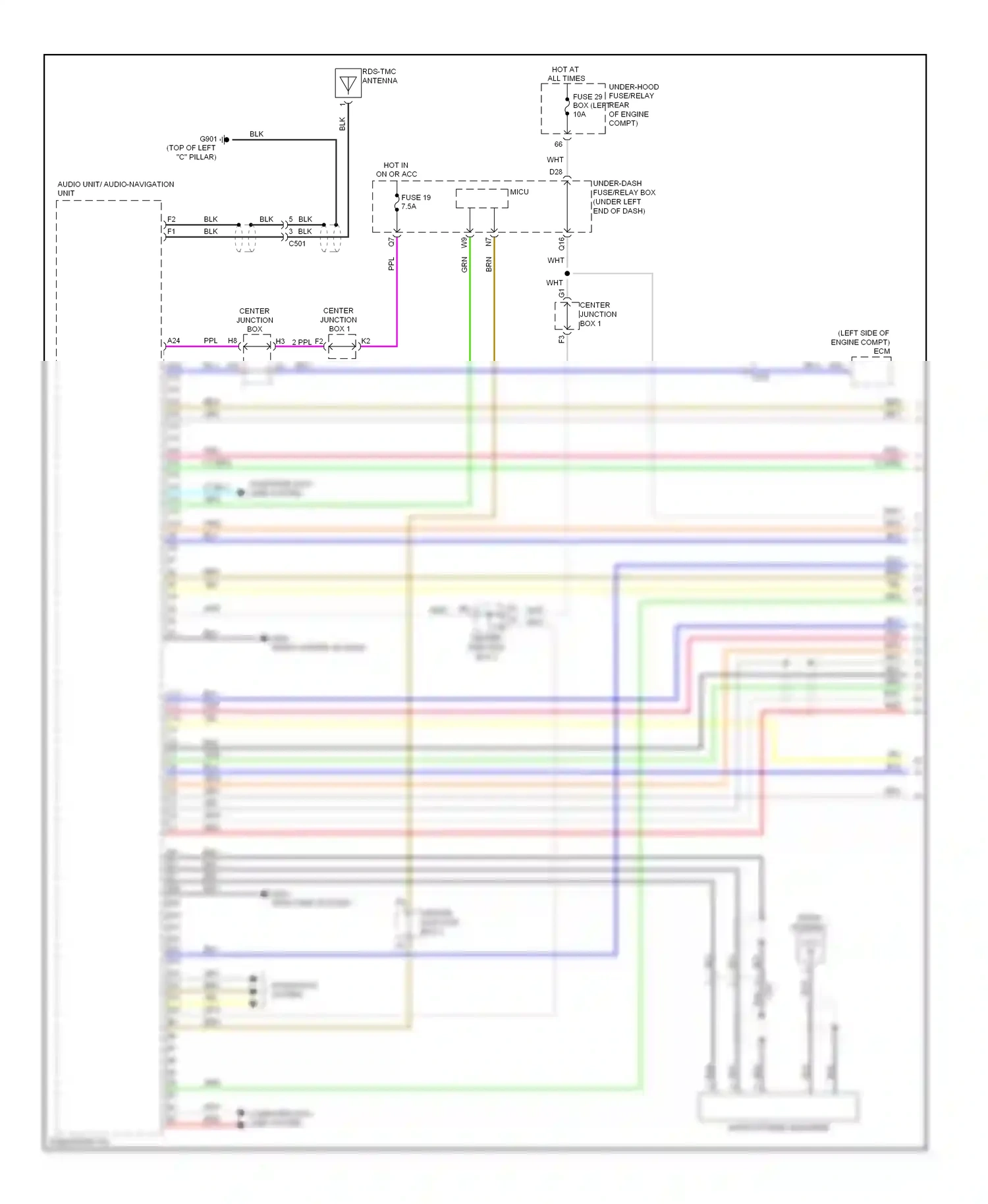 Wiring diagram lt blu for Honda Civic IX (2011-2015) (71 of 96)