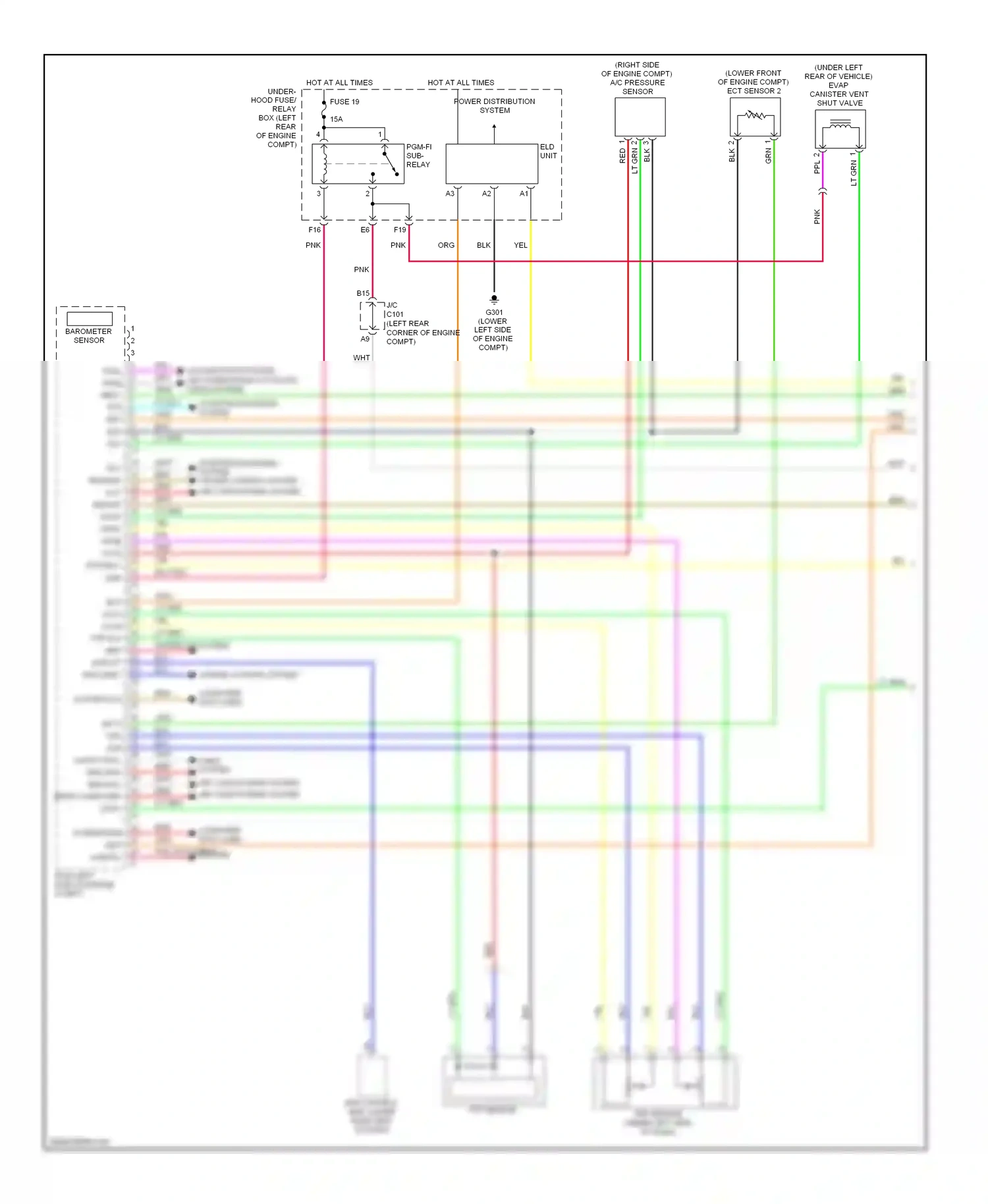 Wiring diagram eld unit for Honda Civic VIII facelift (2008-2011) (5 of 6)