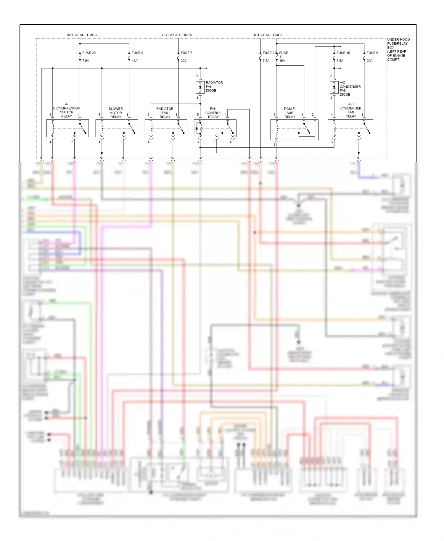 Wiring diagram blk for Honda Civic VIII (2005-2009) (10 of 153)
