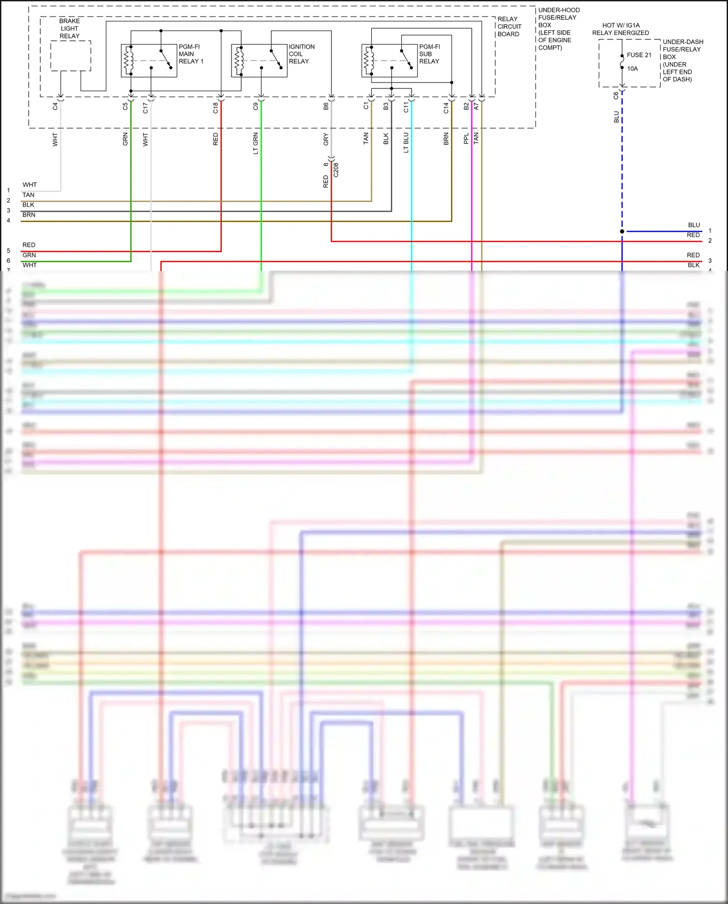 Honda Civic X (2015-2021) pnk wiring diagram  (185 of 219)