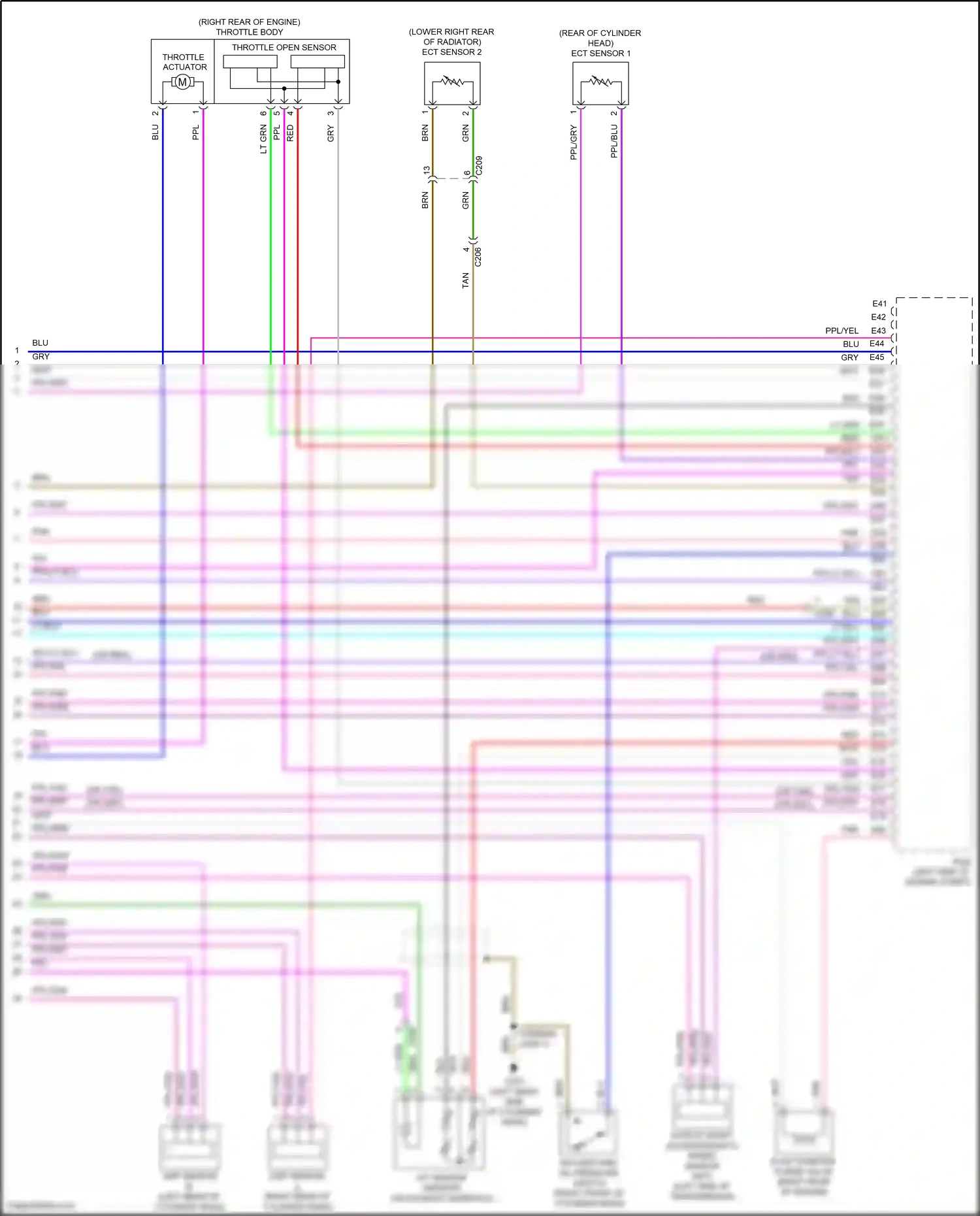 Wiring diagram ppl/grn for Honda Civic X (2015-2021) (5 of 5)