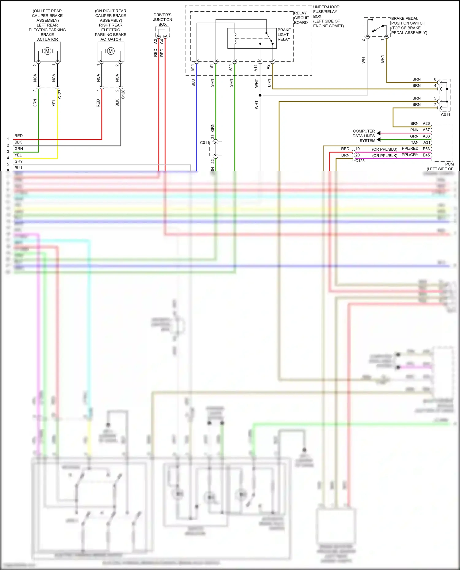 Wiring diagram body control module for Honda Civic XI (2021-2024) (2 of 41)