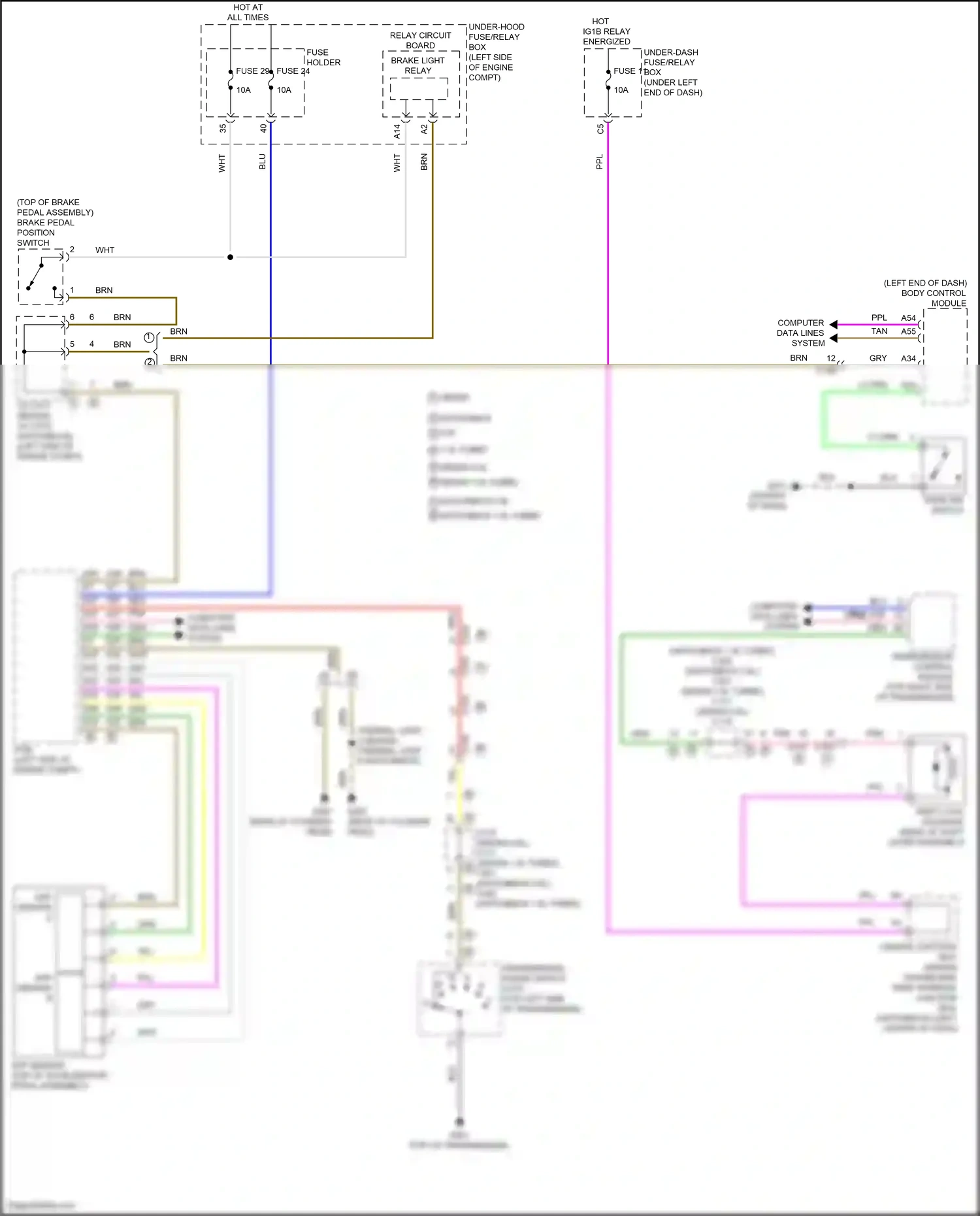 Wiring diagram transmission control module for Honda Civic XI (2021-2024) (9 of 12)