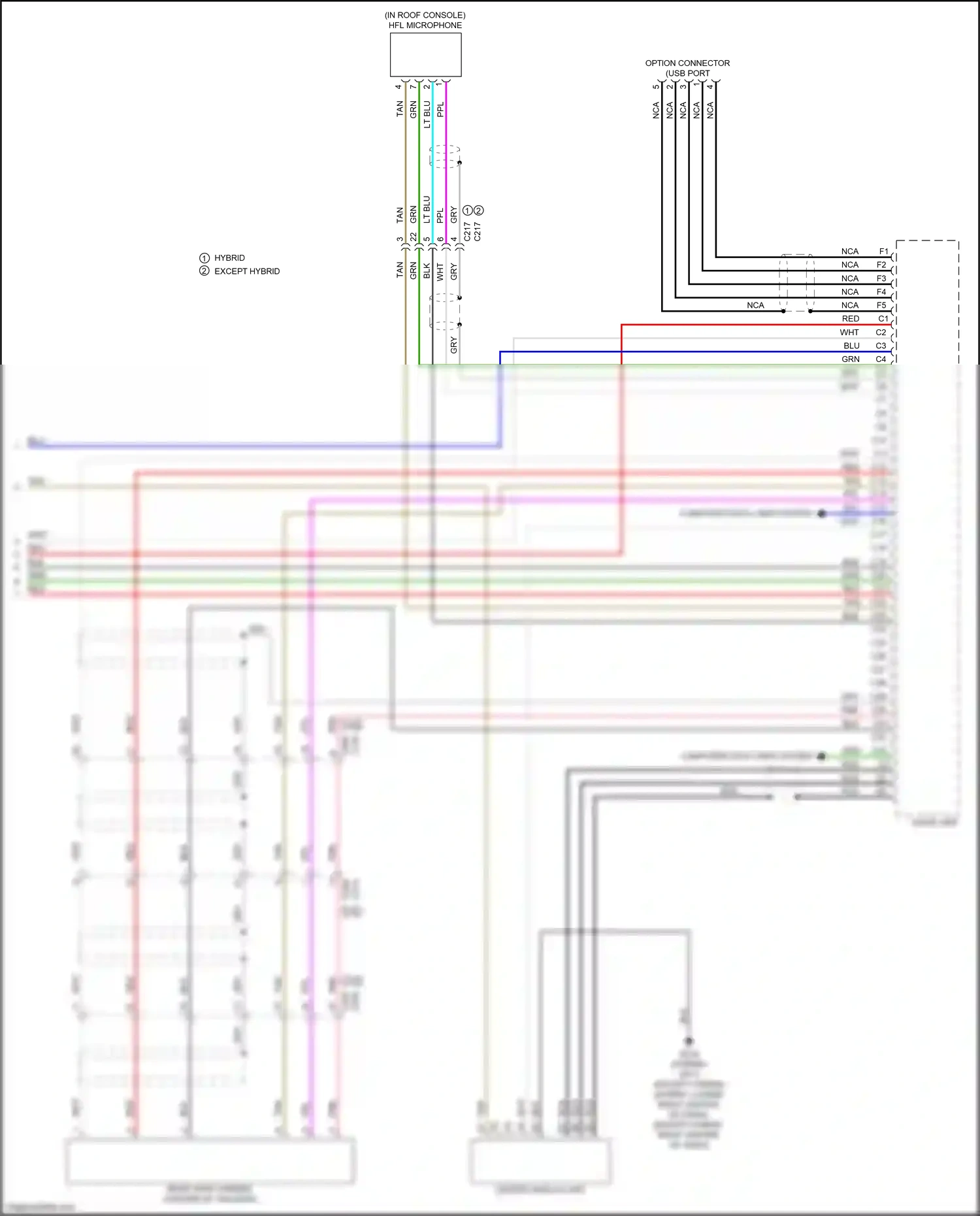 Wiring diagram computer data lines system for Honda CR-V VI (2022-2024) (14 of 112)
