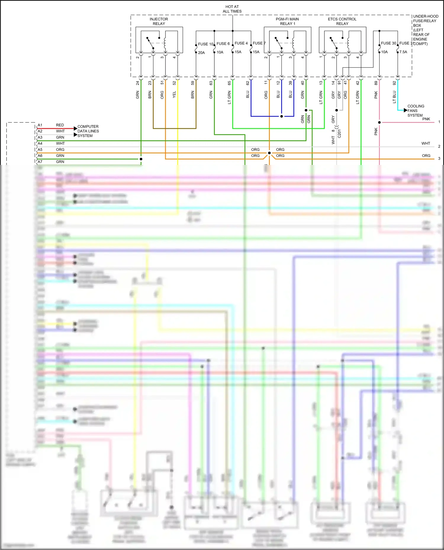 Wiring diagram lt blu for Honda Jazz GK (2015-2017) (55 of 61)