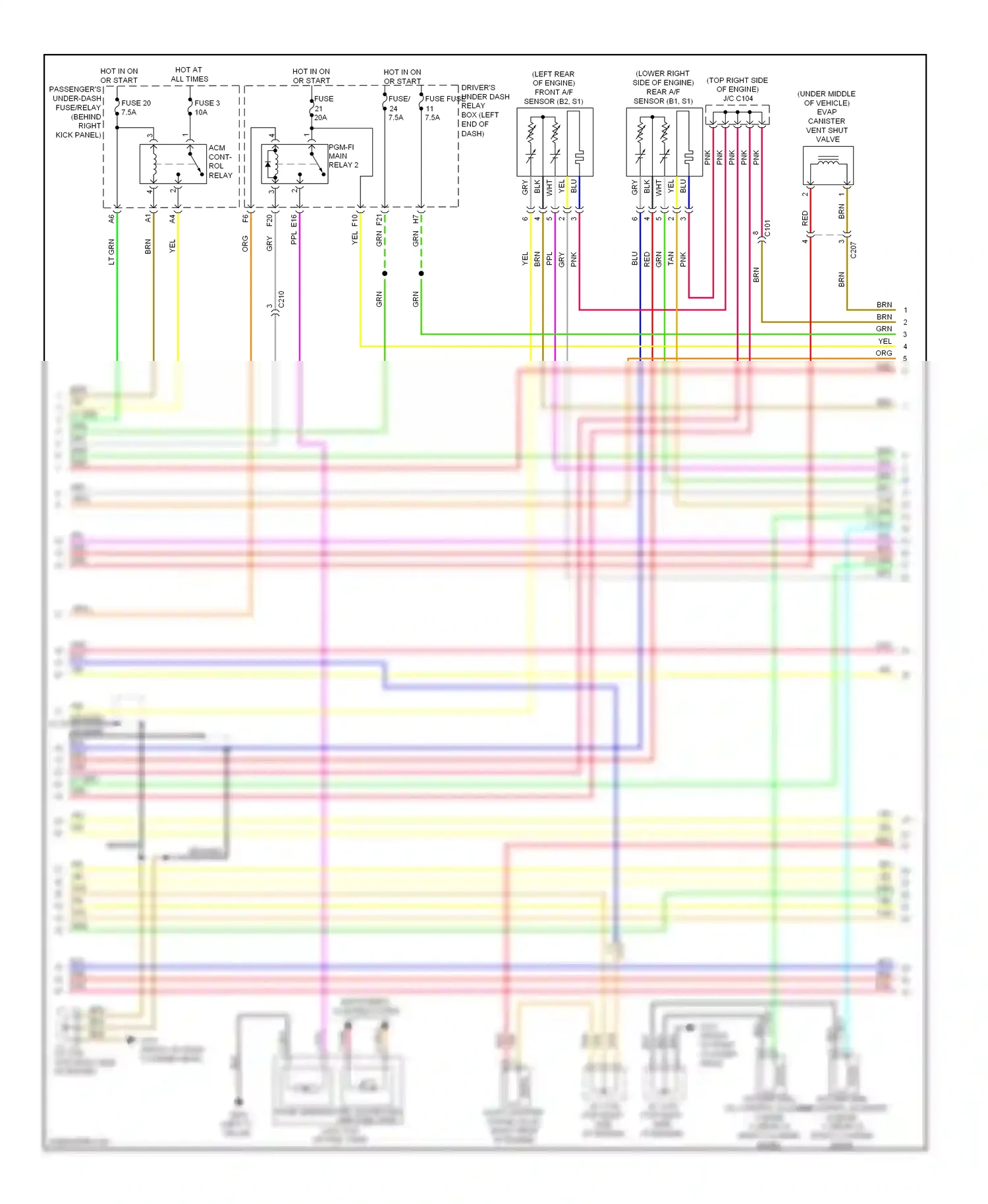 Wiring diagram left "c" pillar) for Honda Odyssey IV (2008-2013) (10 of 13)