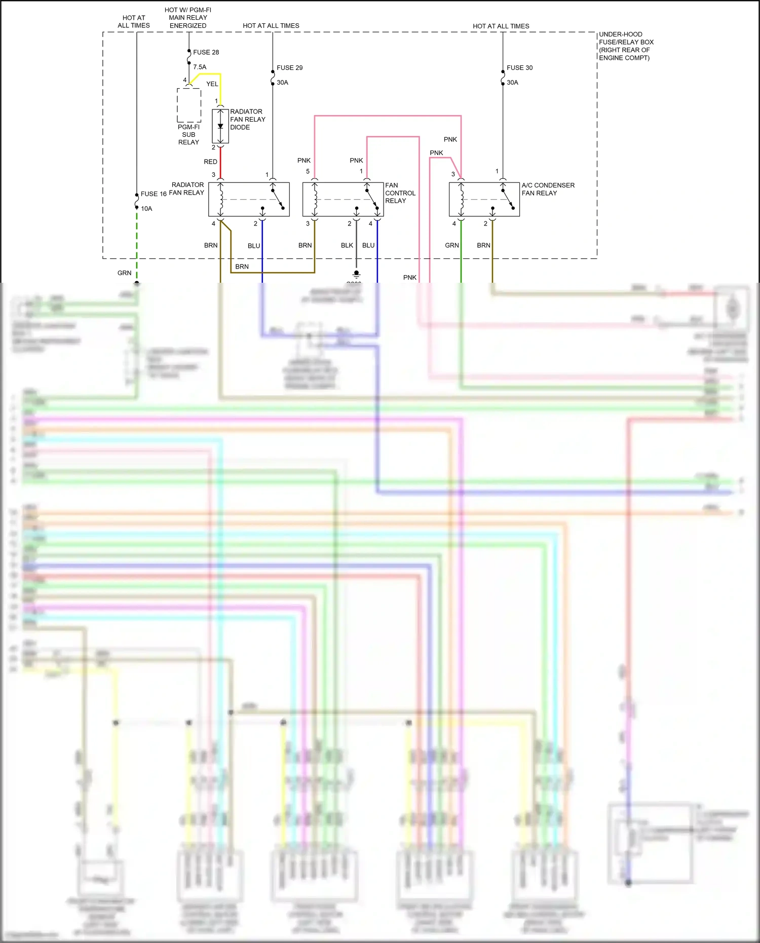 Wiring diagram pnk for Honda Odyssey V (2013-2017) (55 of 137)