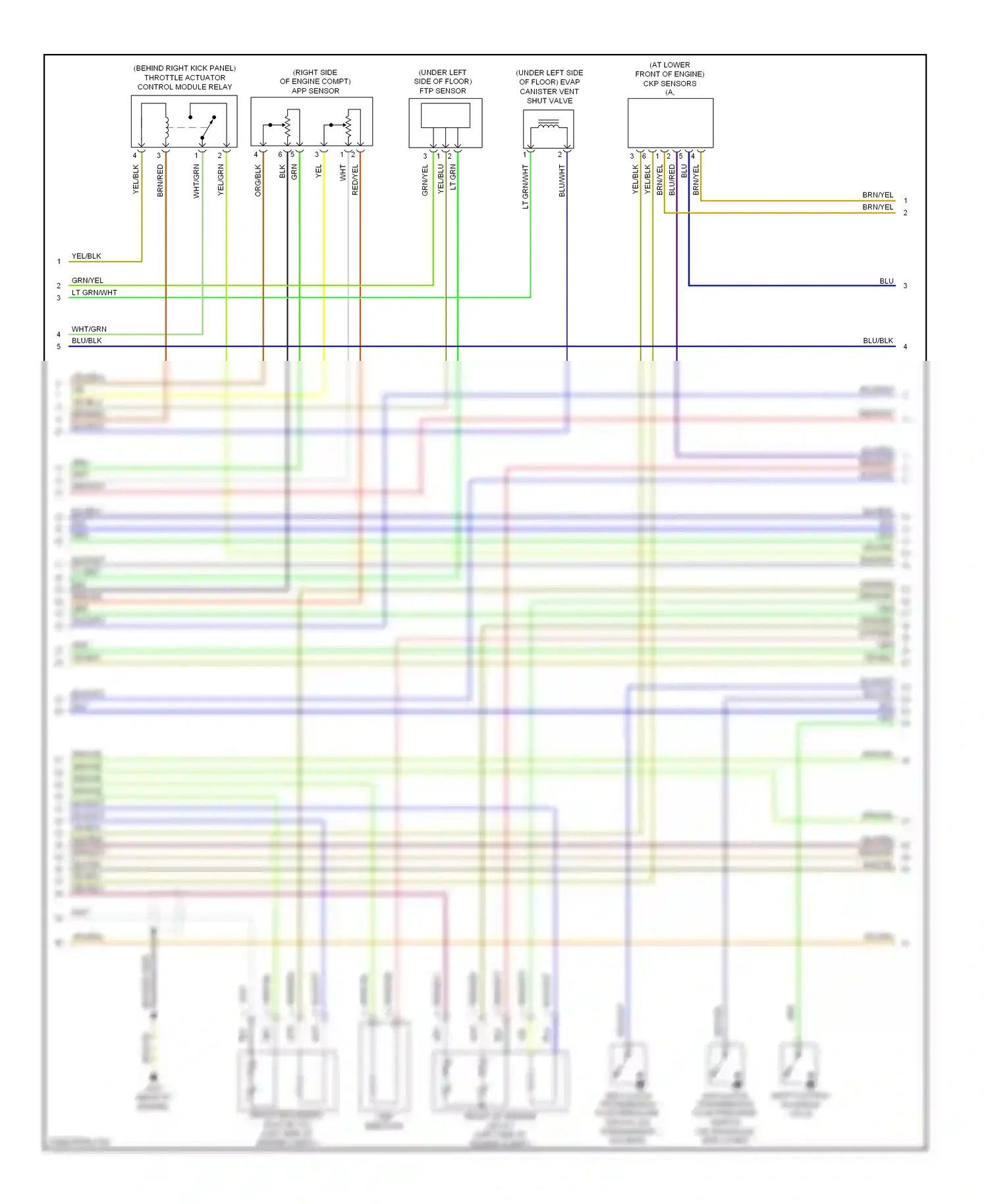 Wiring diagram braided wire for Honda Pilot I (2004-2009) (5 of 13)