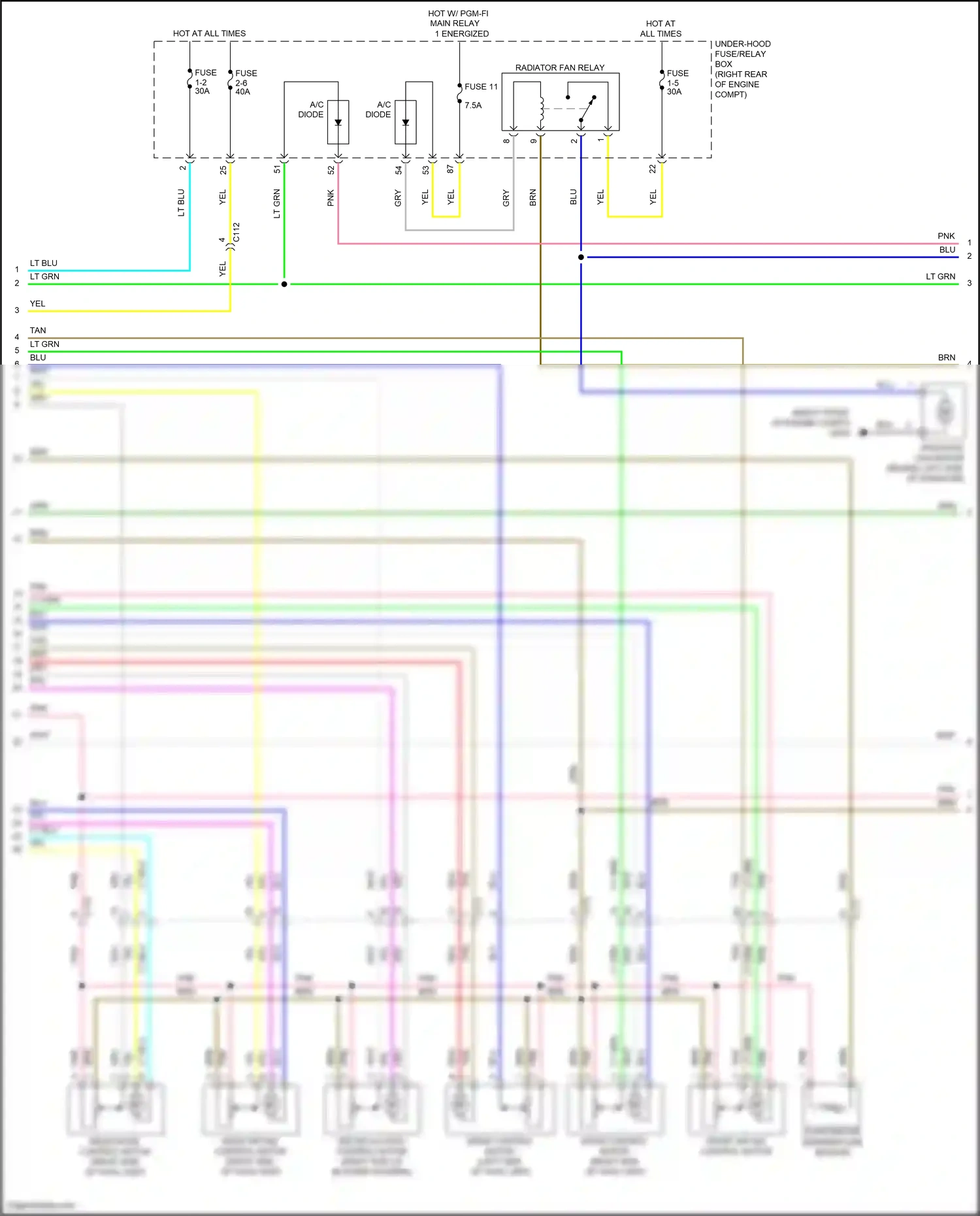 Wiring diagram tan for Honda Pilot III facelift (2018-2022) (69 of 135)