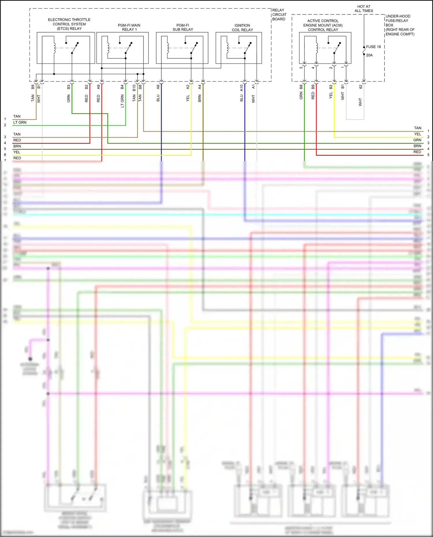 Wiring diagram fuse 19 for Honda Pilot III (2015-2018) (4 of 5)