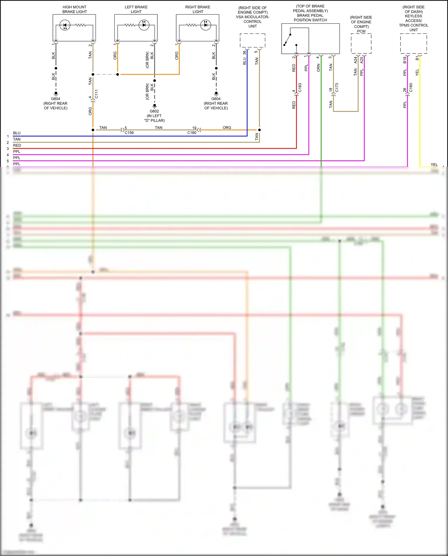 Wiring diagram left license plate light for Honda Pilot III (2015-2018) (1 of 3)