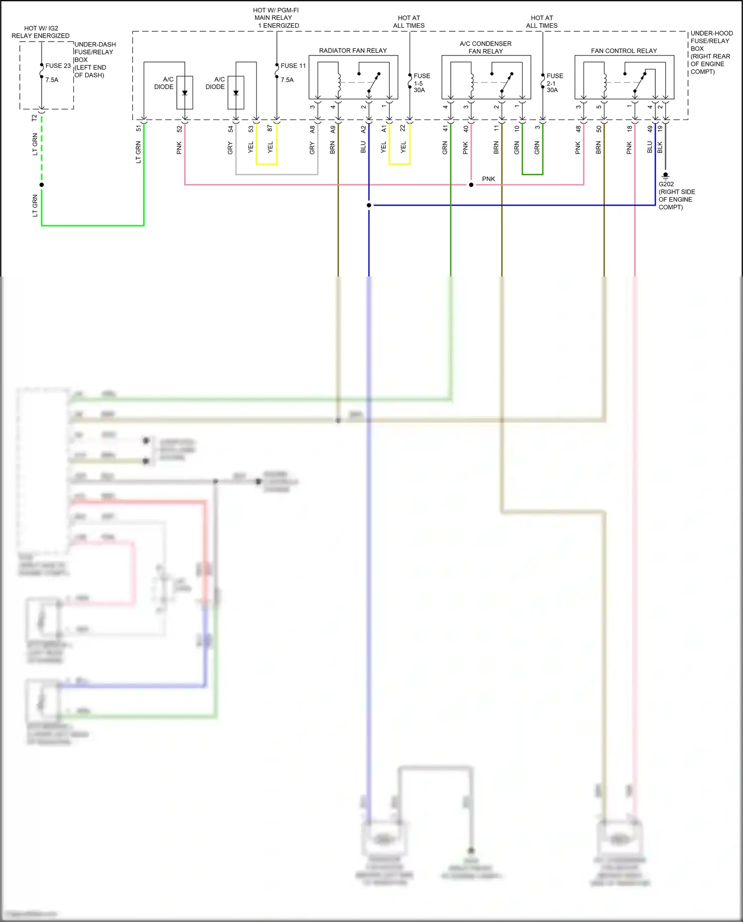 Wiring diagram lt grn for Honda Pilot III (2015-2018) (48 of 101)