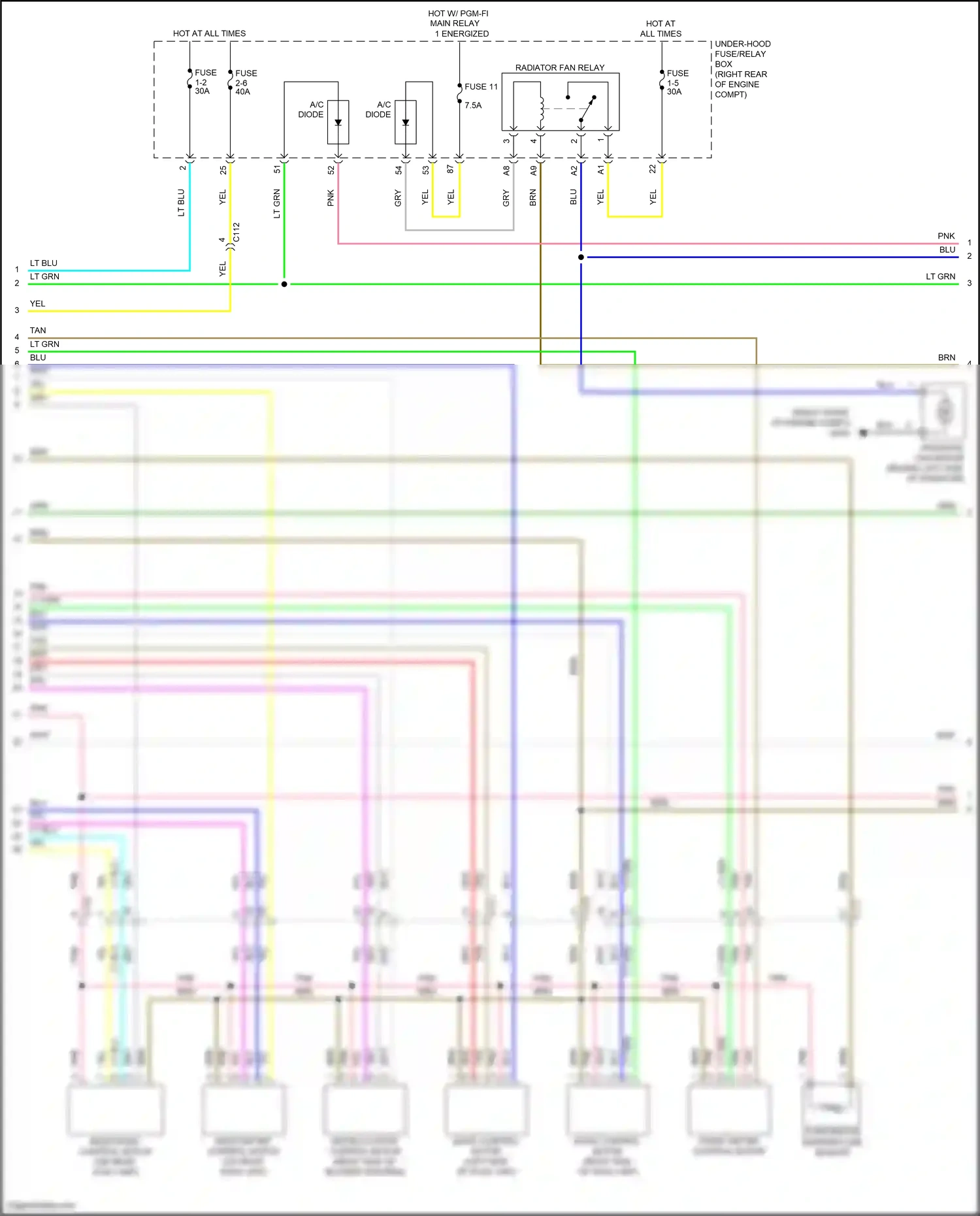 Wiring diagram wht for Honda Pilot III (2015-2018) (146 of 157)
