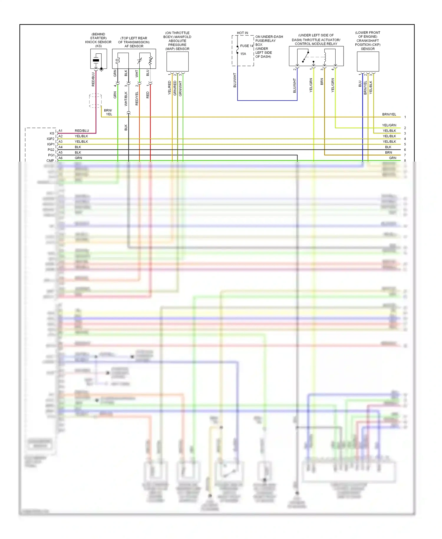 Honda S2000 I (2004-2009) dbw+ wiring diagram  (1 of 1)