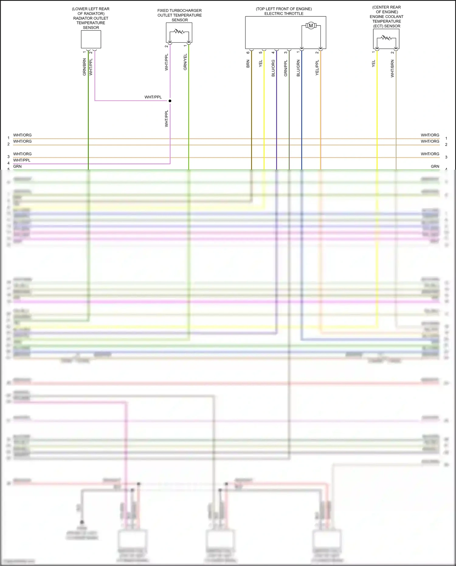 Wiring diagram blu/grn for Land Rover Discovery L319 (2013-2017) (4 of 9)