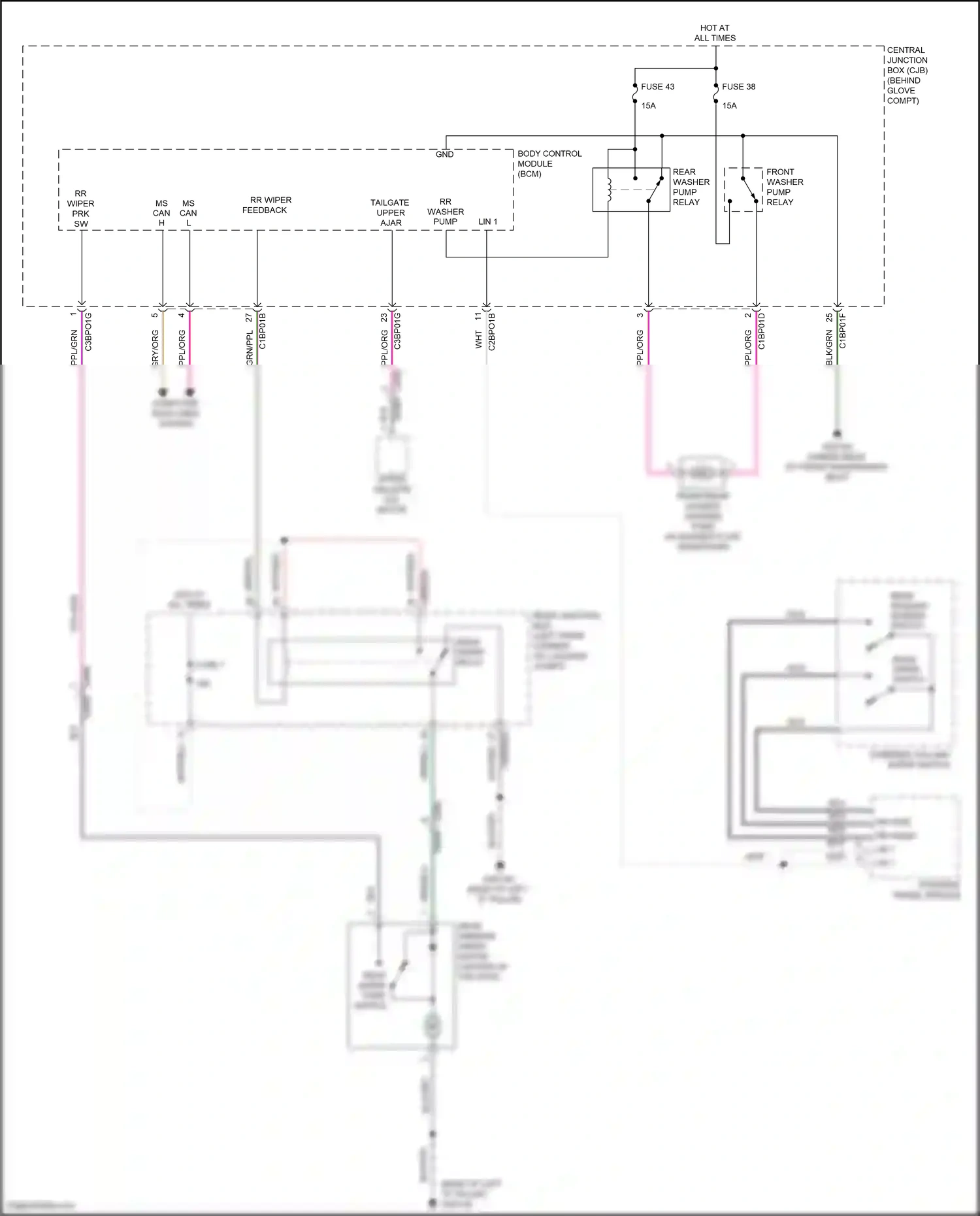 Wiring diagram steering wheel module for Land Rover Freelander II facelift 2 (2012-2014) (10 of 18)