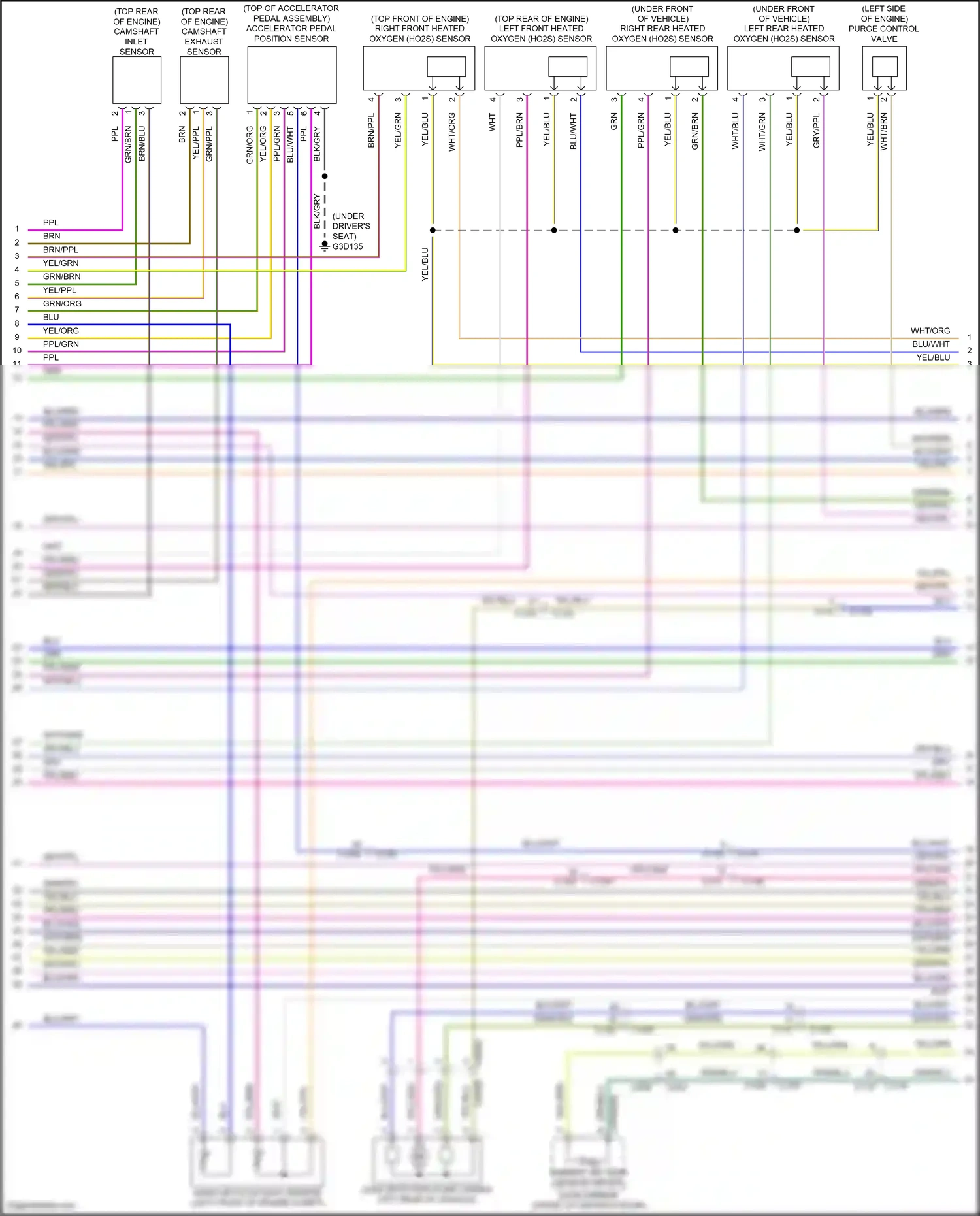 Wiring diagram accelerator pedal position sensor for Land Rover Freelander II facelift (2010-2012) (4 of 4)